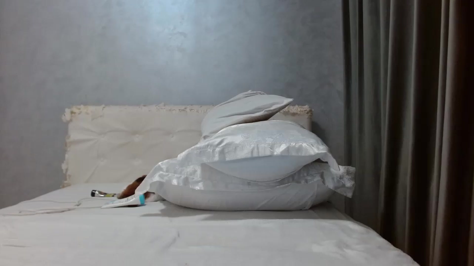 Gallery image thumbnail from Aahh_Emilia's myfreecams stream on, 07/30/2026, 17:56 image 18 of 20