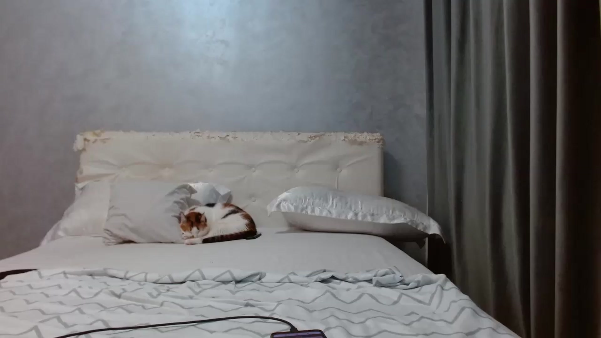 Gallery image thumbnail from Aahh_Emilia's myfreecams stream on, 08/09/2026, 16:20 image 20 of 20