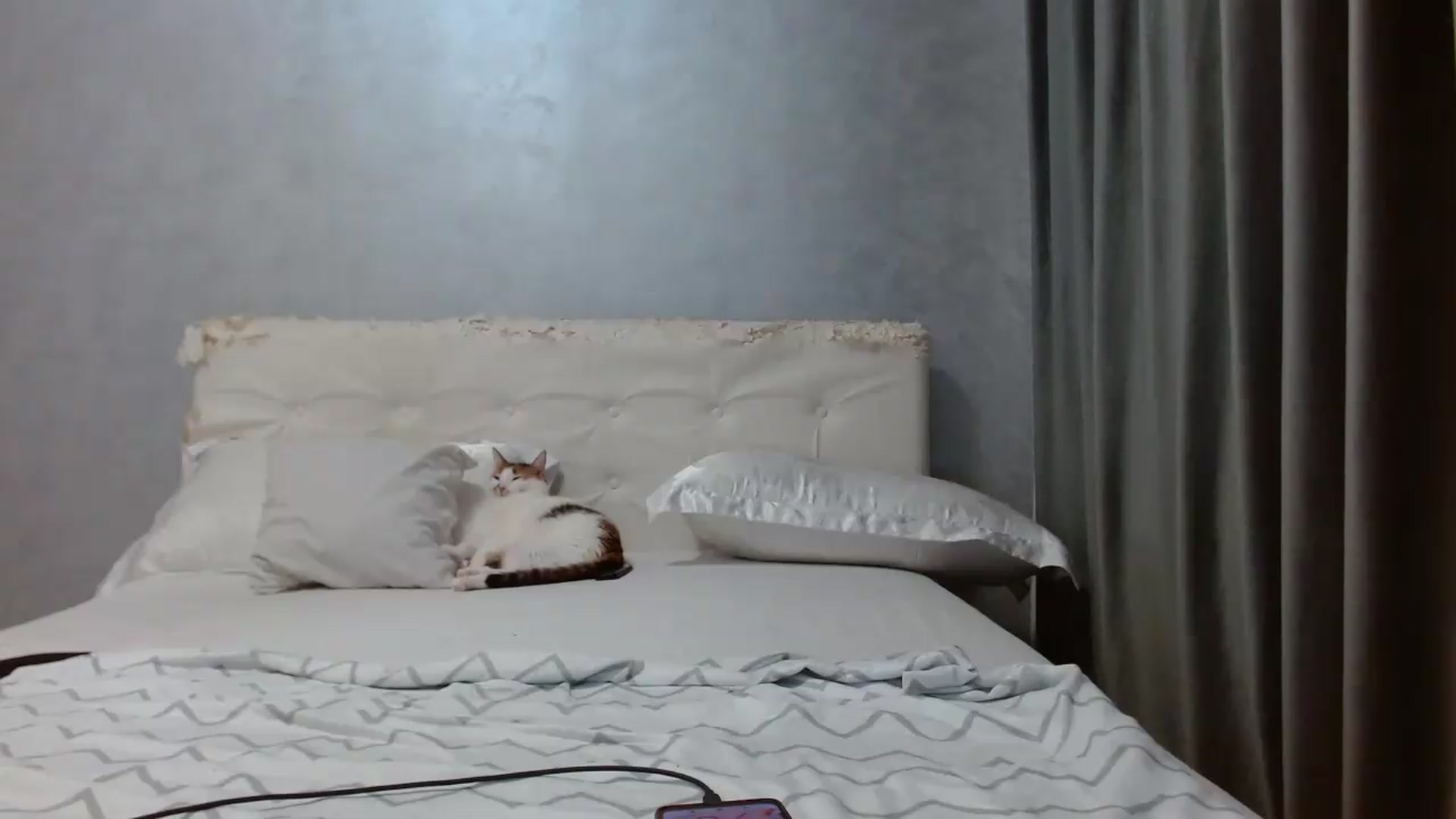 Gallery image thumbnail from Aahh_Emilia's myfreecams stream on, 08/09/2026, 16:20 image 16 of 20