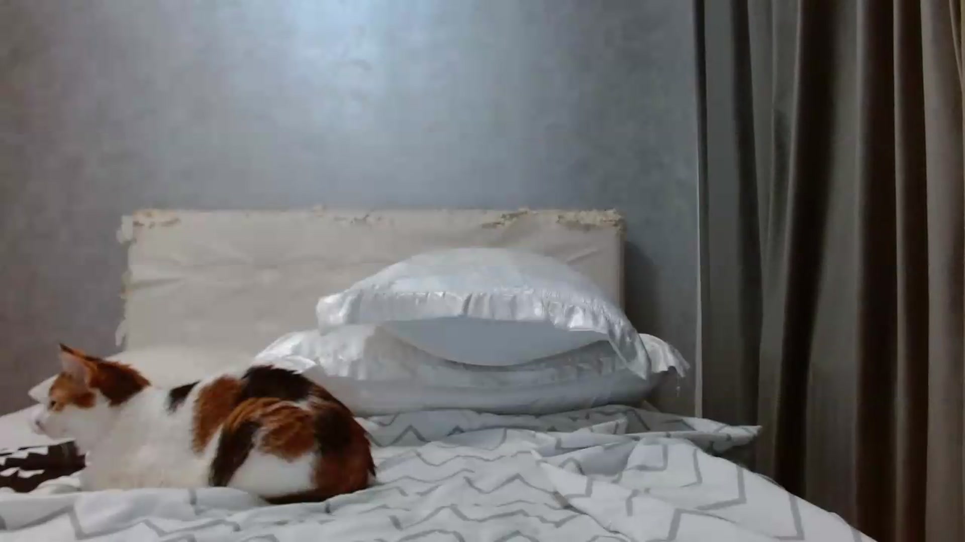 Gallery image thumbnail from Aahh_Emilia's myfreecams stream on, 08/11/2026, 18:06 image 18 of 20
