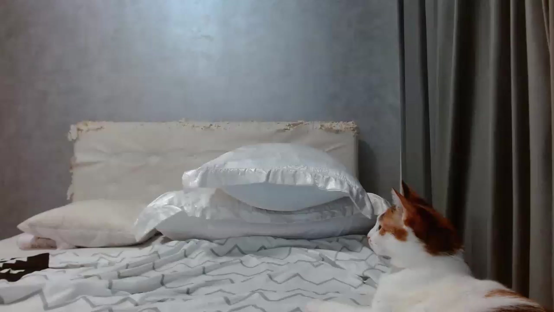 Gallery image thumbnail from Aahh_Emilia's myfreecams stream on, 08/11/2026, 18:06 image 17 of 20