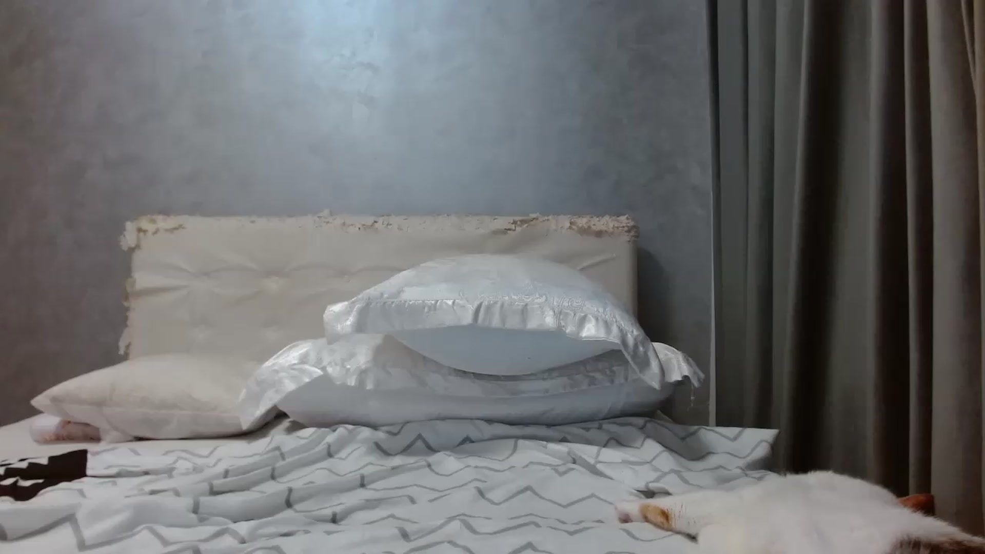 Gallery image thumbnail from Aahh_Emilia's myfreecams stream on, 08/11/2026, 18:06 image 14 of 20