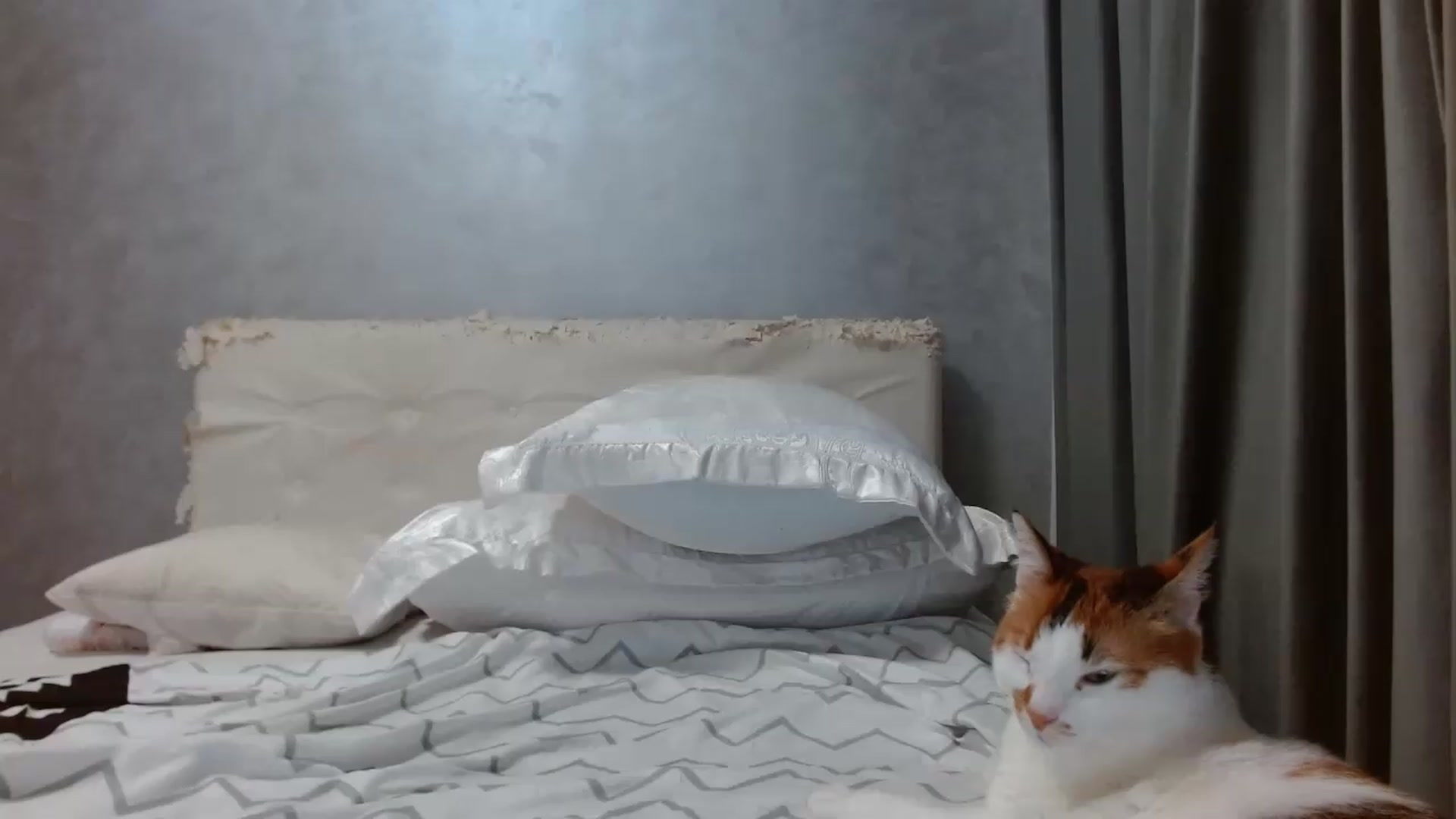 Gallery image thumbnail from Aahh_Emilia's myfreecams stream on, 08/11/2026, 18:06 image 15 of 20