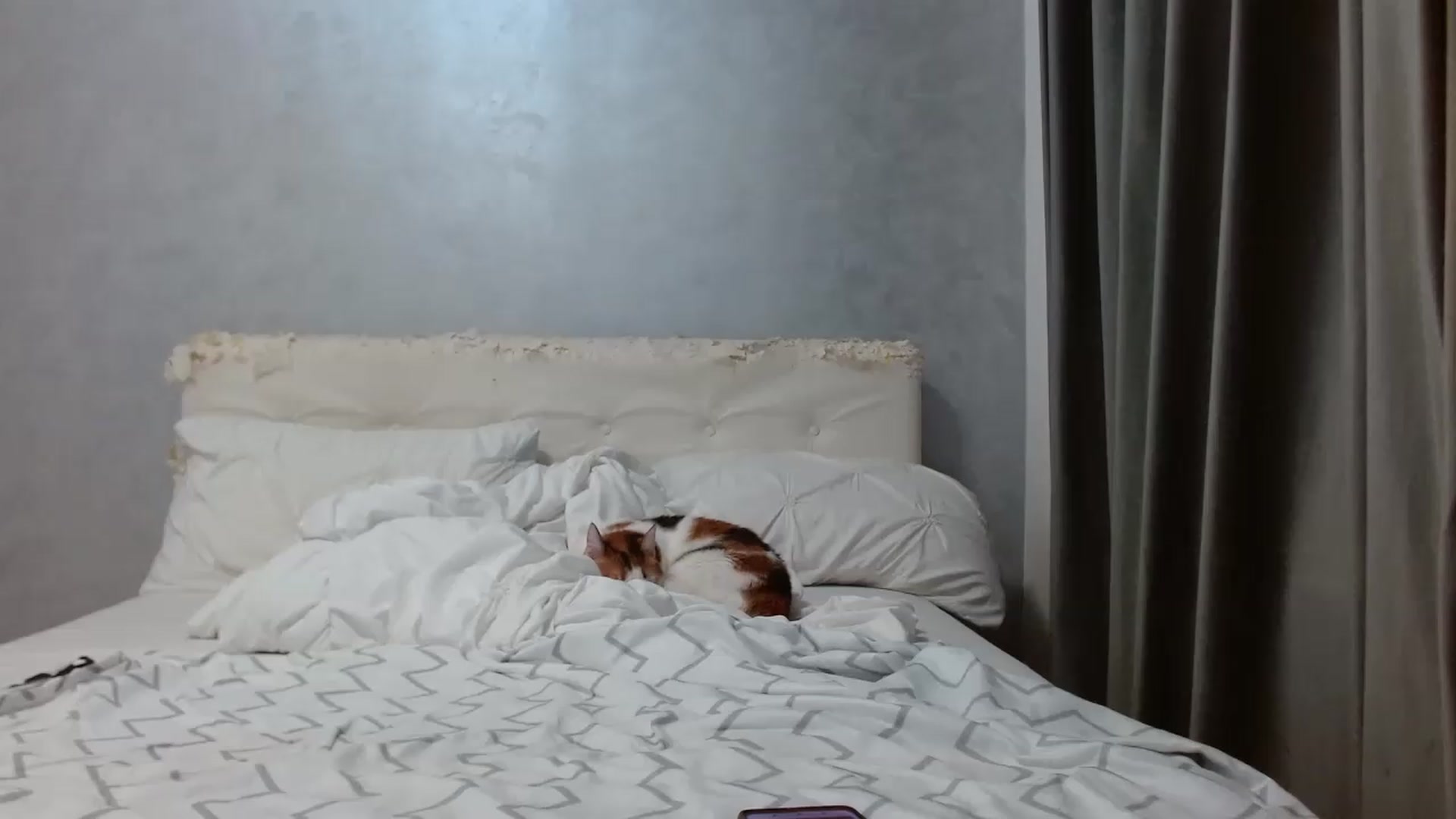Gallery image thumbnail from Aahh_Emilia's myfreecams stream on, 08/16/2026, 16:30 image 18 of 20