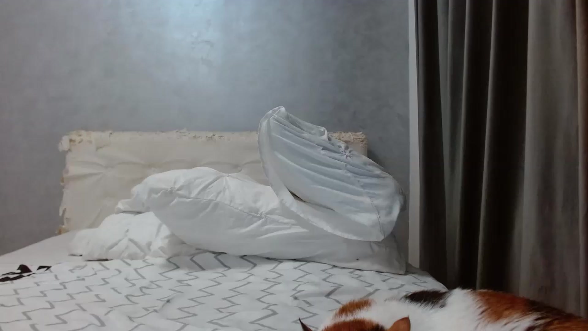 Gallery image thumbnail from Aahh_Emilia's myfreecams stream on, 08/16/2026, 17:52 image 14 of 20