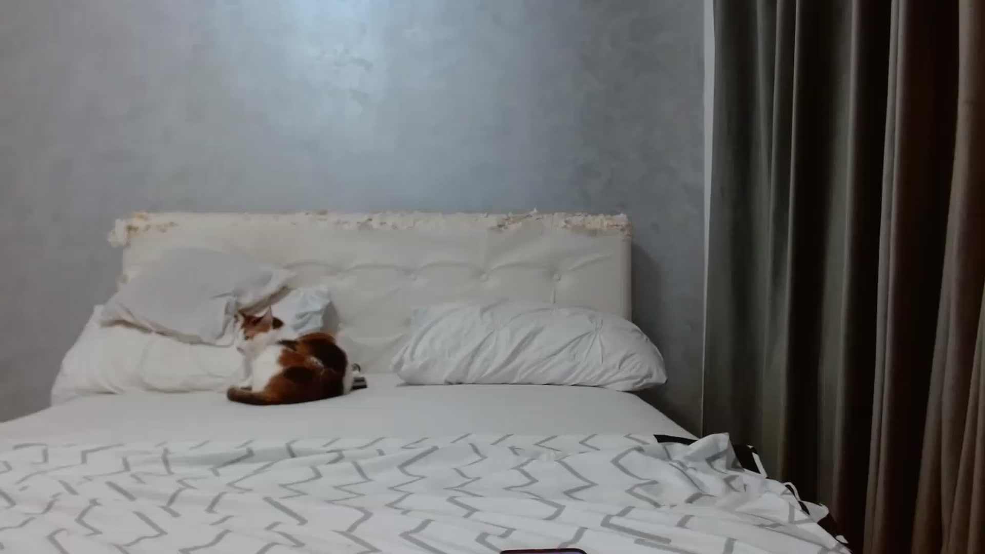 Gallery image thumbnail from Aahh_Emilia's myfreecams stream on, 08/22/2026, 16:39 image 19 of 20