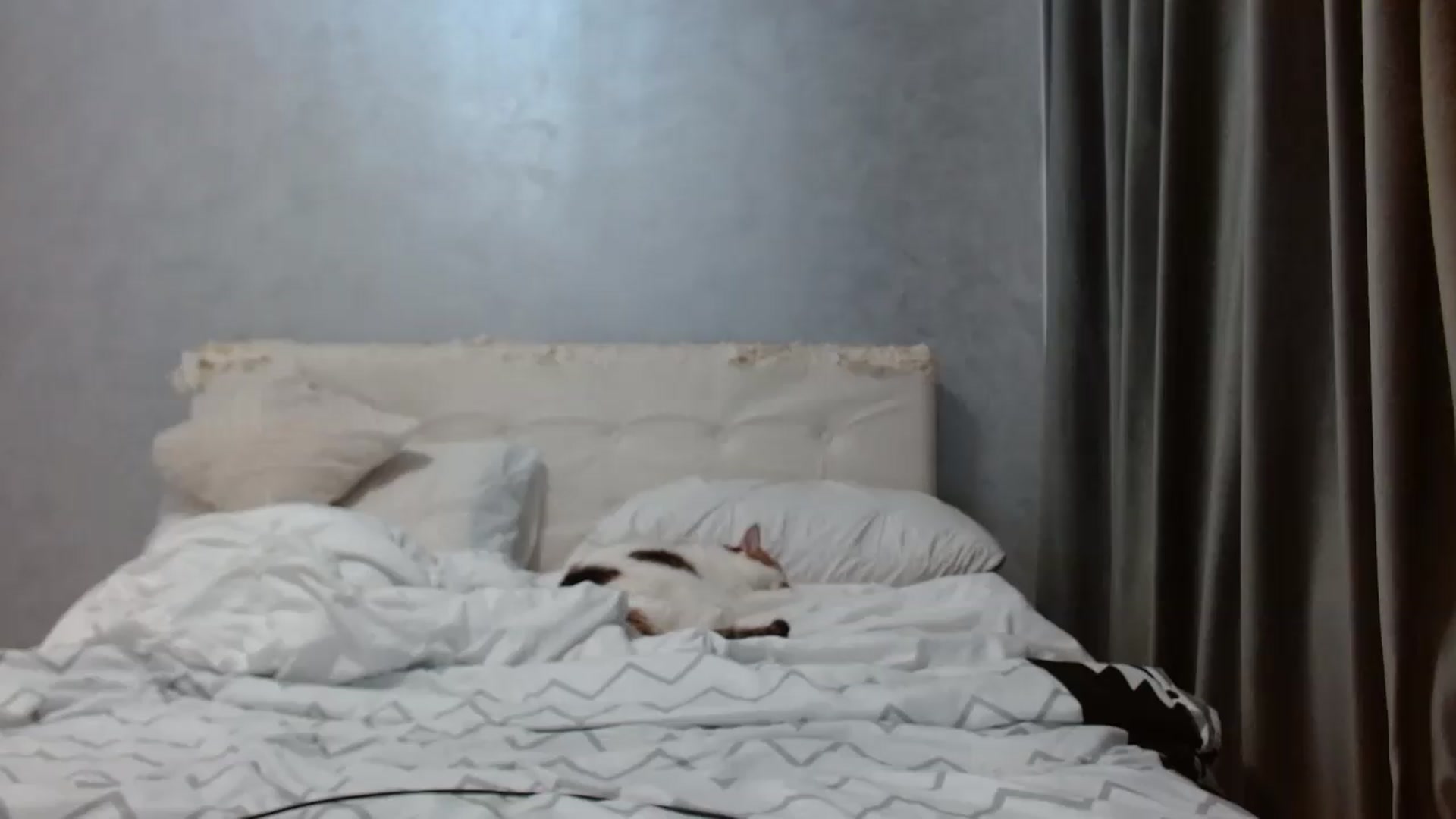 Gallery image thumbnail from Aahh_Emilia's myfreecams stream on, 08/23/2026, 16:20 image 20 of 20