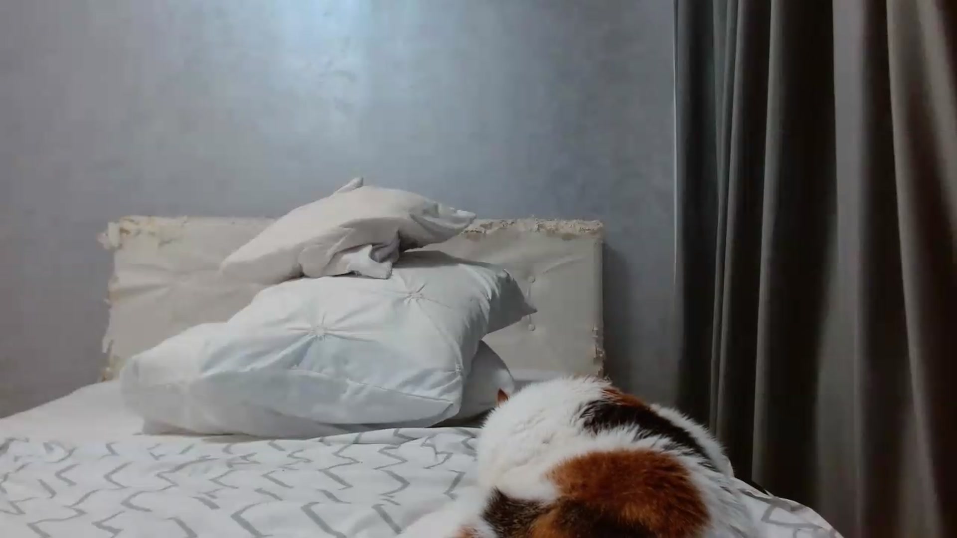 Gallery image thumbnail from Aahh_Emilia's myfreecams stream on, 08/27/2026, 17:57 image 10 of 20
