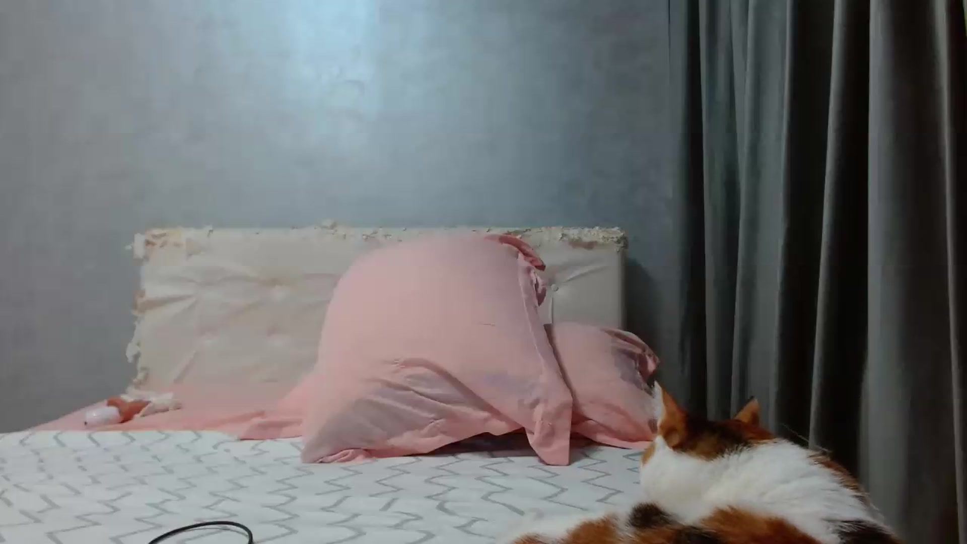 Gallery image thumbnail from Aahh_Emilia's myfreecams stream on, 09/10/2026, 17:57 image 11 of 20