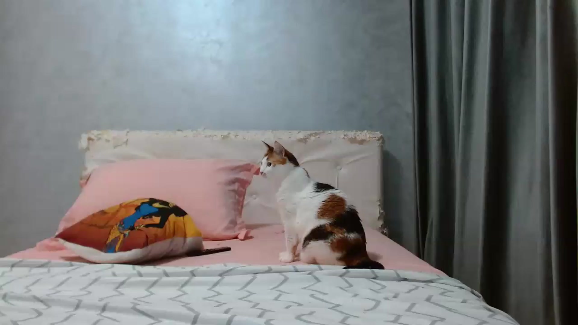 Gallery image thumbnail from Aahh_Emilia's myfreecams stream on, 09/12/2026, 18:23 image 5 of 20