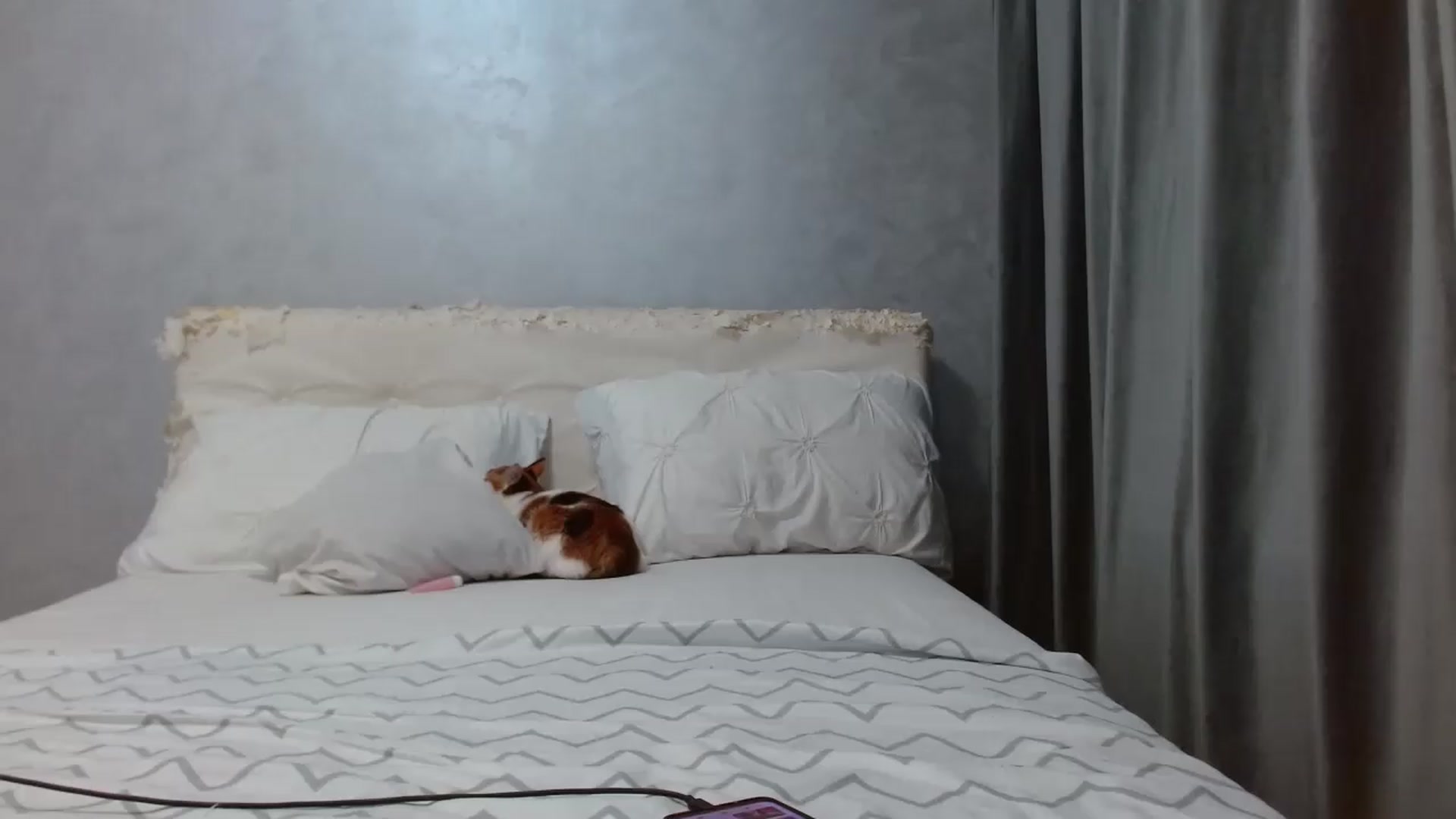 Gallery image thumbnail from Aahh_Emilia's myfreecams stream on, 09/17/2026, 16:37 image 16 of 20