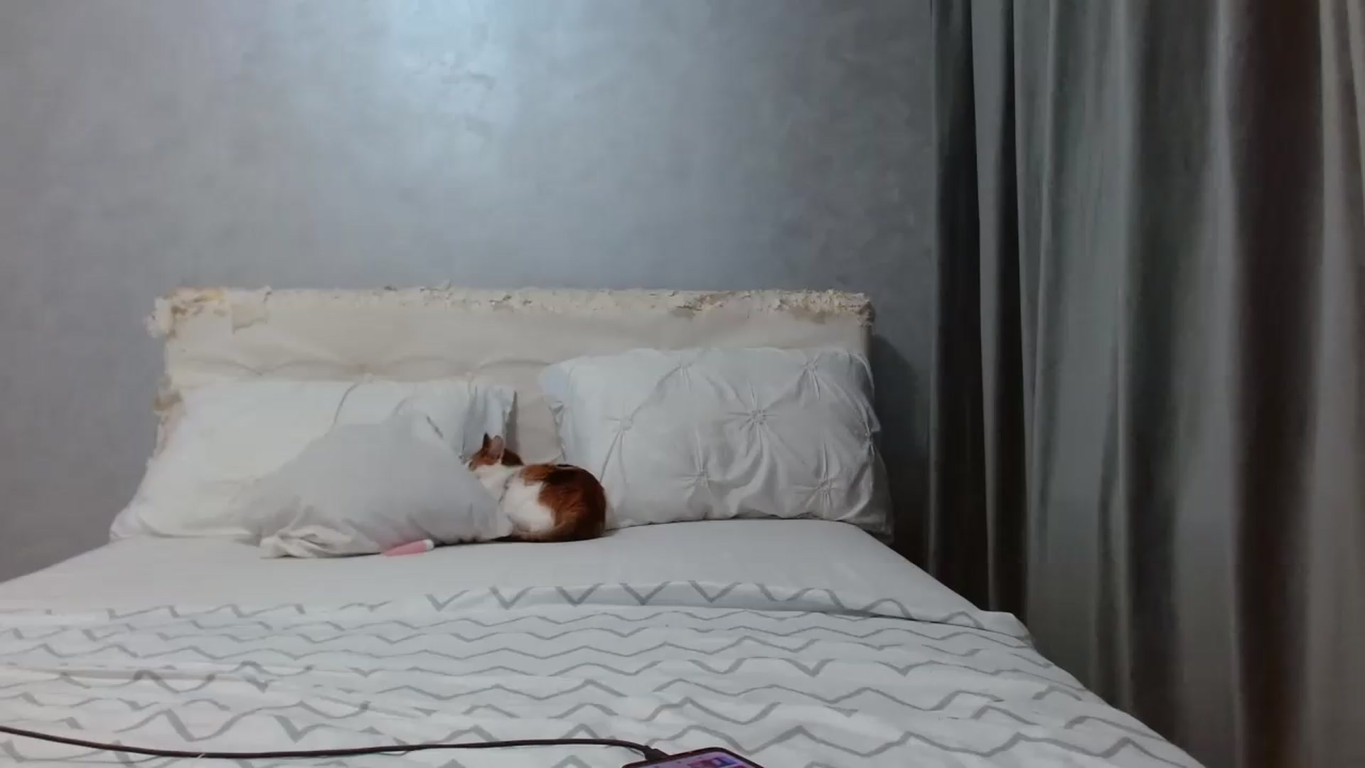 Gallery image thumbnail from Aahh_Emilia's myfreecams stream on, 09/17/2026, 16:37 image 18 of 20