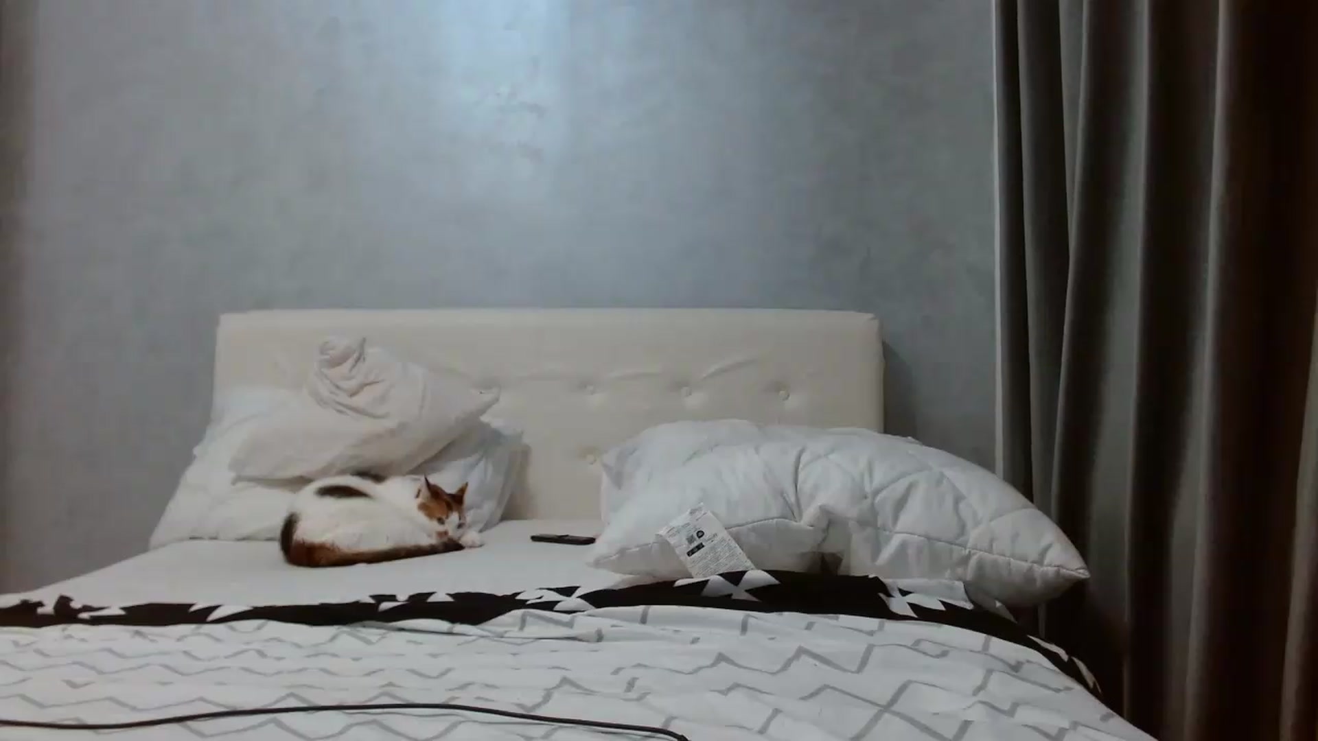 Gallery image thumbnail from Aahh_Emilia's myfreecams stream on, 09/23/2026, 16:32 image 5 of 20