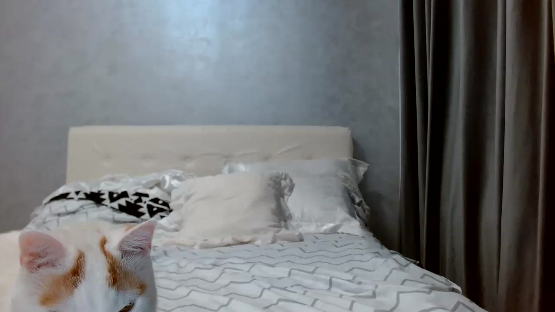 Gallery image thumbnail from Aahh_Emilia's myfreecams stream on, 09/30/2026, 16:33 image 17 of 20