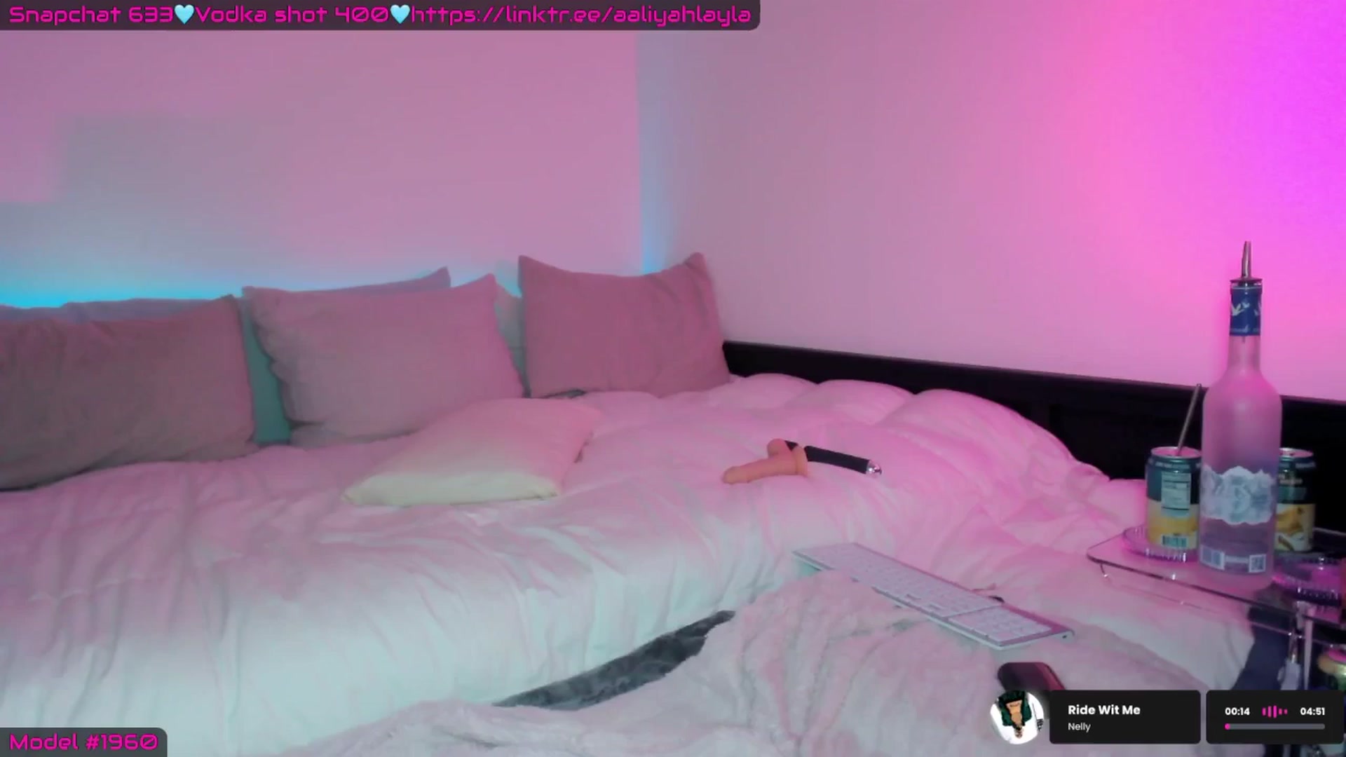 Gallery image thumbnail from AaliyahLayla's myfreecams stream on, 02/28/2026, 10:46 image 14 of 20