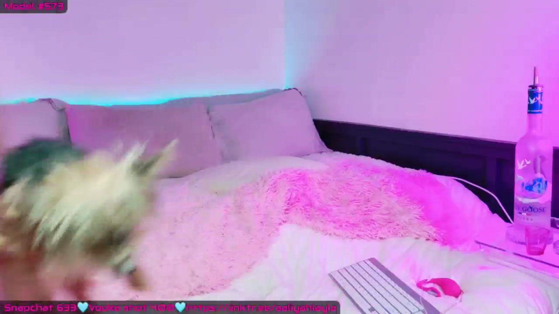 Gallery image thumbnail from AaliyahLayla's myfreecams stream on, 04/24/2026, 12:46 image 11 of 20