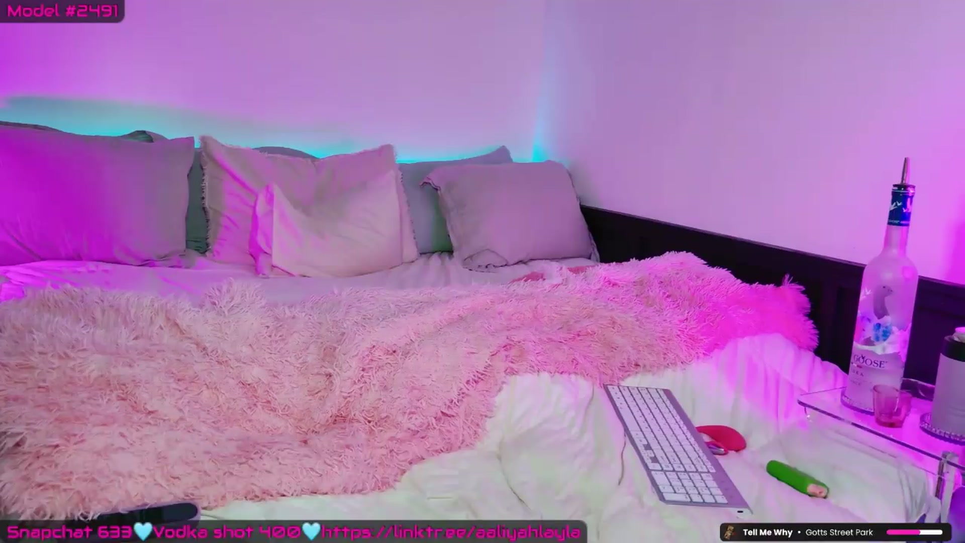Gallery image thumbnail from AaliyahLayla's myfreecams stream on, 05/13/2026, 09:30 image 6 of 20
