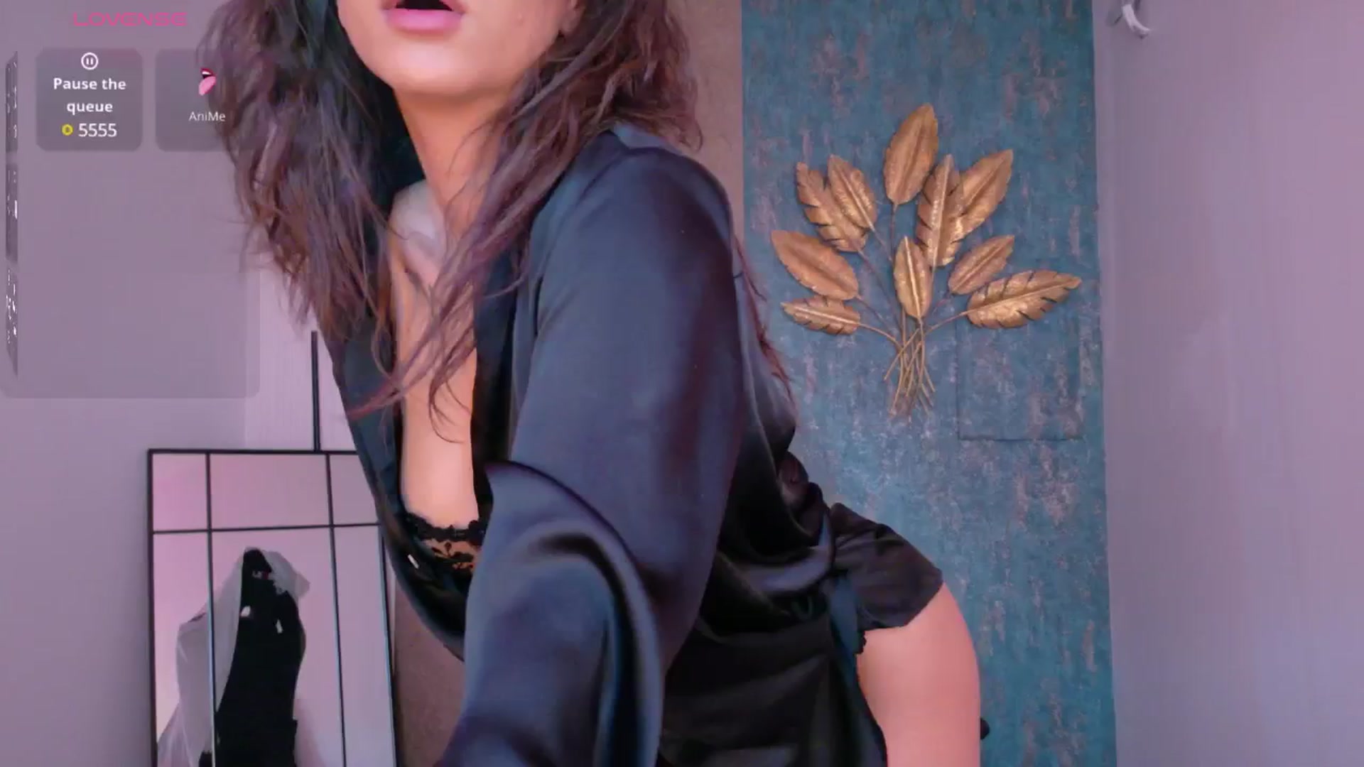 Gallery image thumbnail from Aana_lise's myfreecams stream on, 03/25/2025, 06:46 image 11 of 20