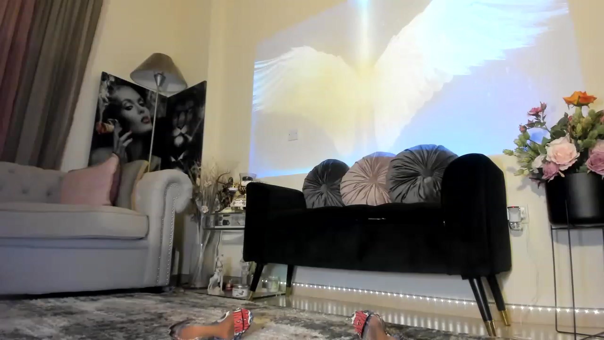 Gallery image thumbnail from Aarte_miss's myfreecams stream on, 11/28/2022, 04:15 image 3 of 20