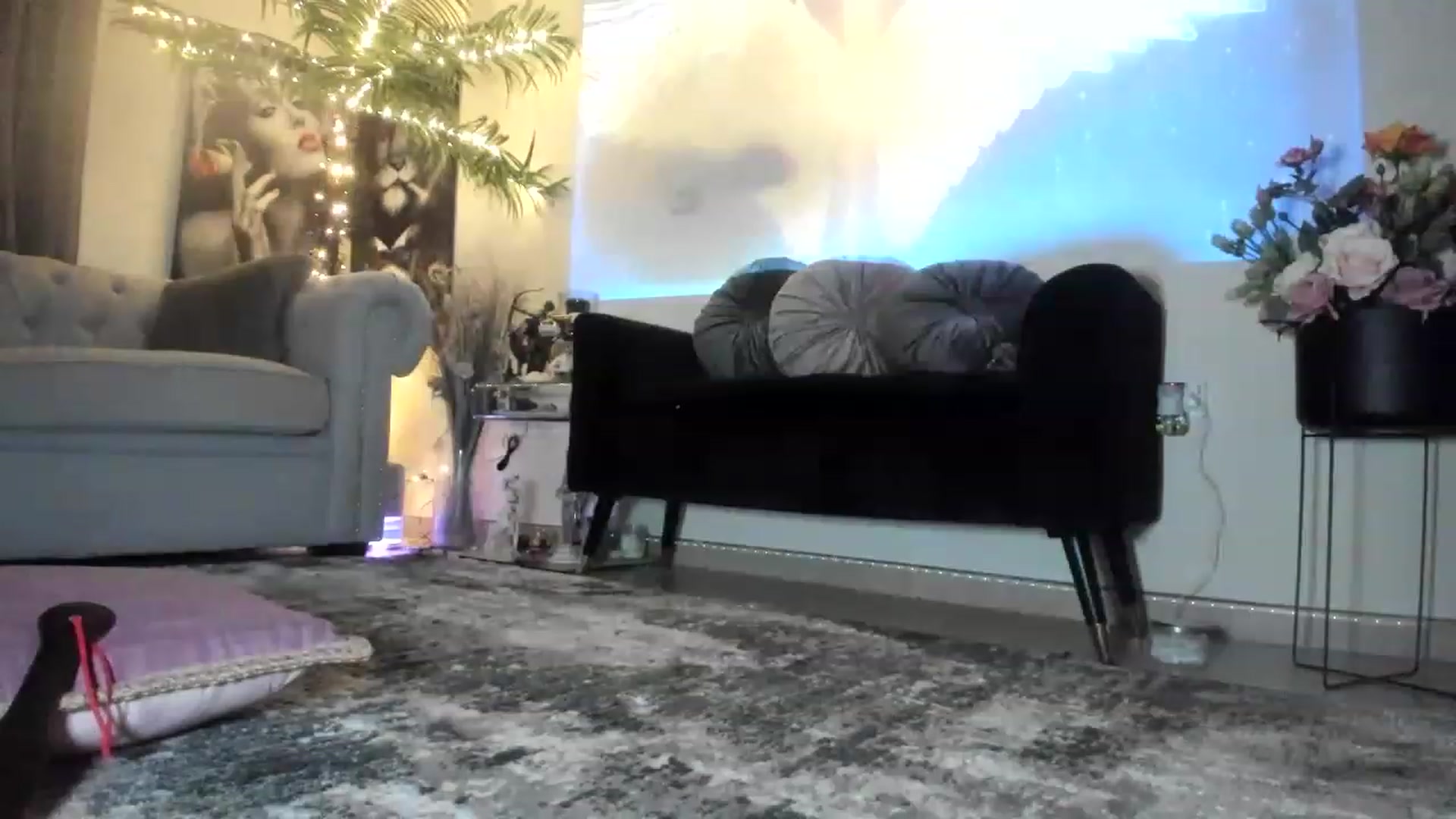 Gallery image thumbnail from Aarte_miss's myfreecams stream on, 12/24/2022, 03:50 image 16 of 20