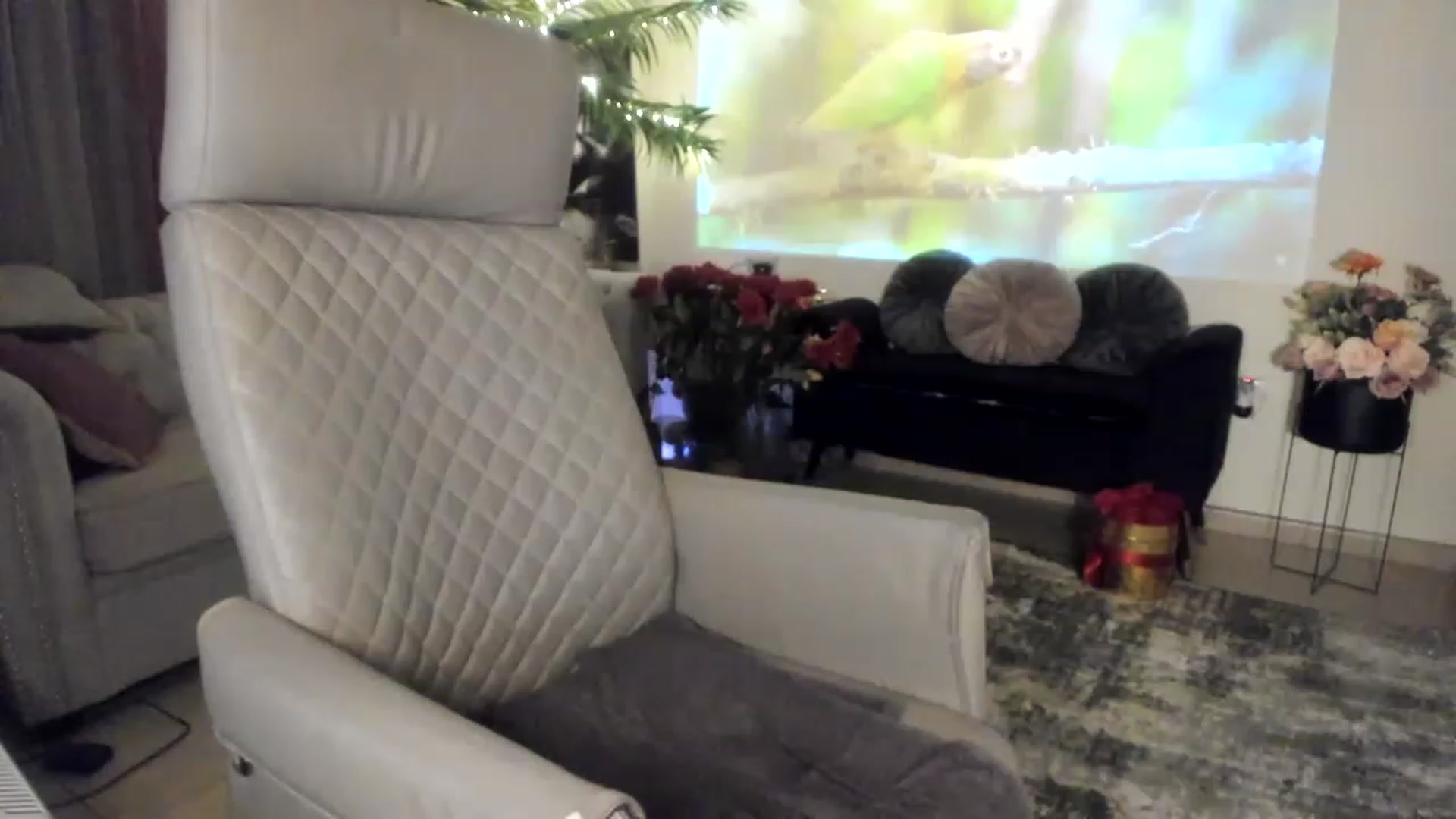 Gallery image thumbnail from Aarte_miss's myfreecams stream on, 03/25/2023, 23:45 image 3 of 20