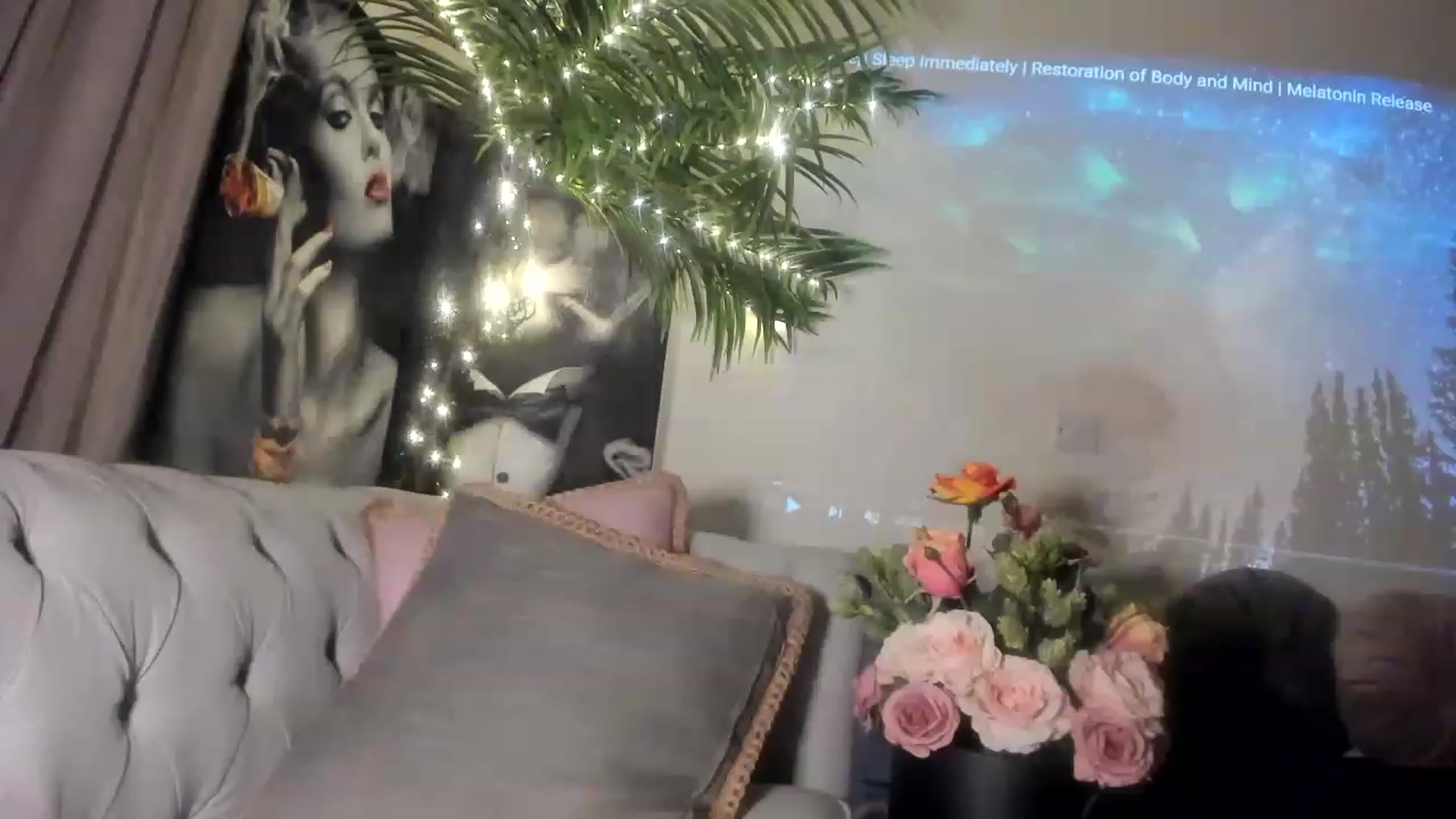 Gallery image thumbnail from Aarte_miss's myfreecams stream on, 04/29/2023, 01:30 image 12 of 20