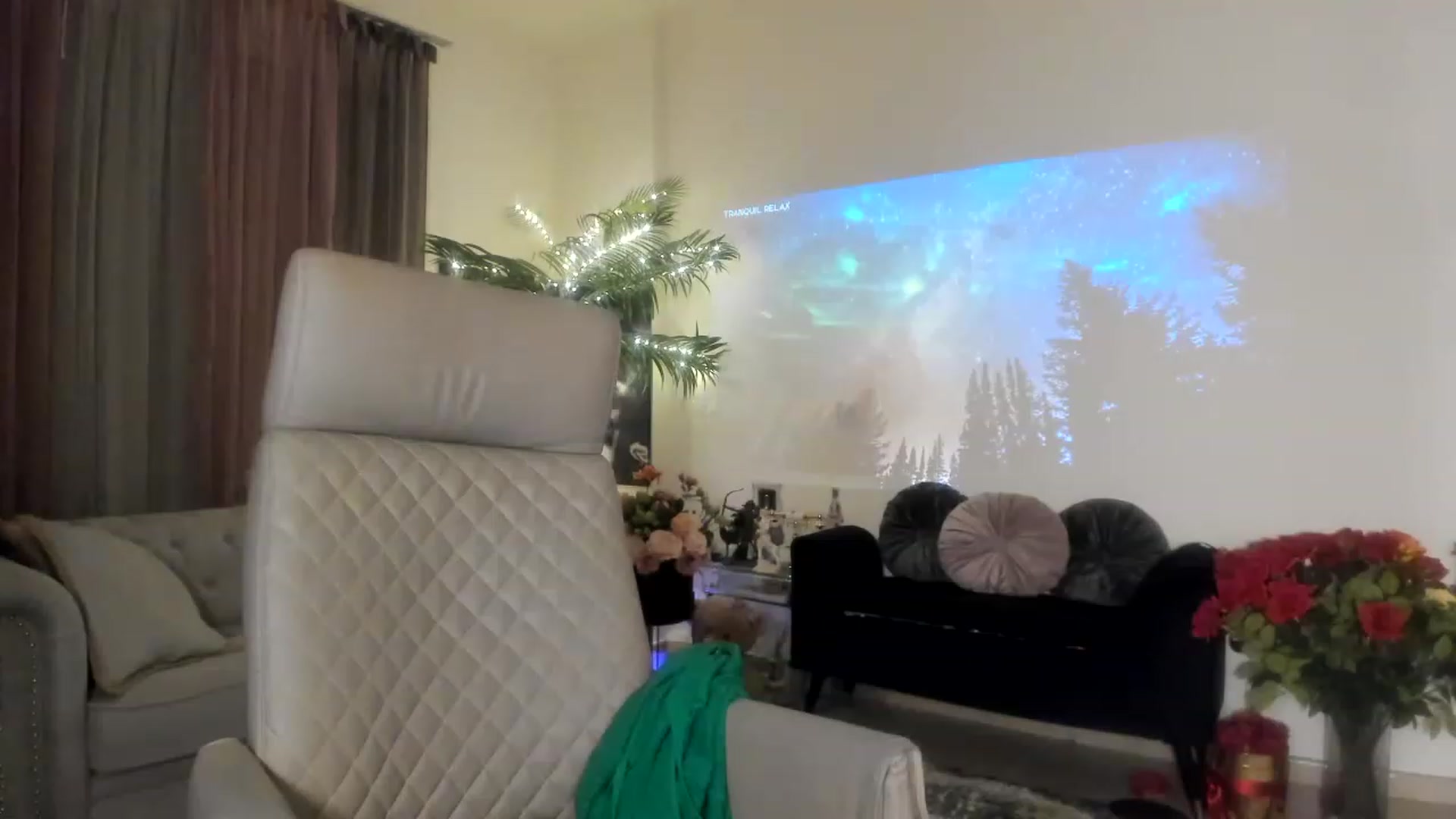 Gallery image thumbnail from Aarte_miss's myfreecams stream on, 04/29/2023, 22:49 image 15 of 20