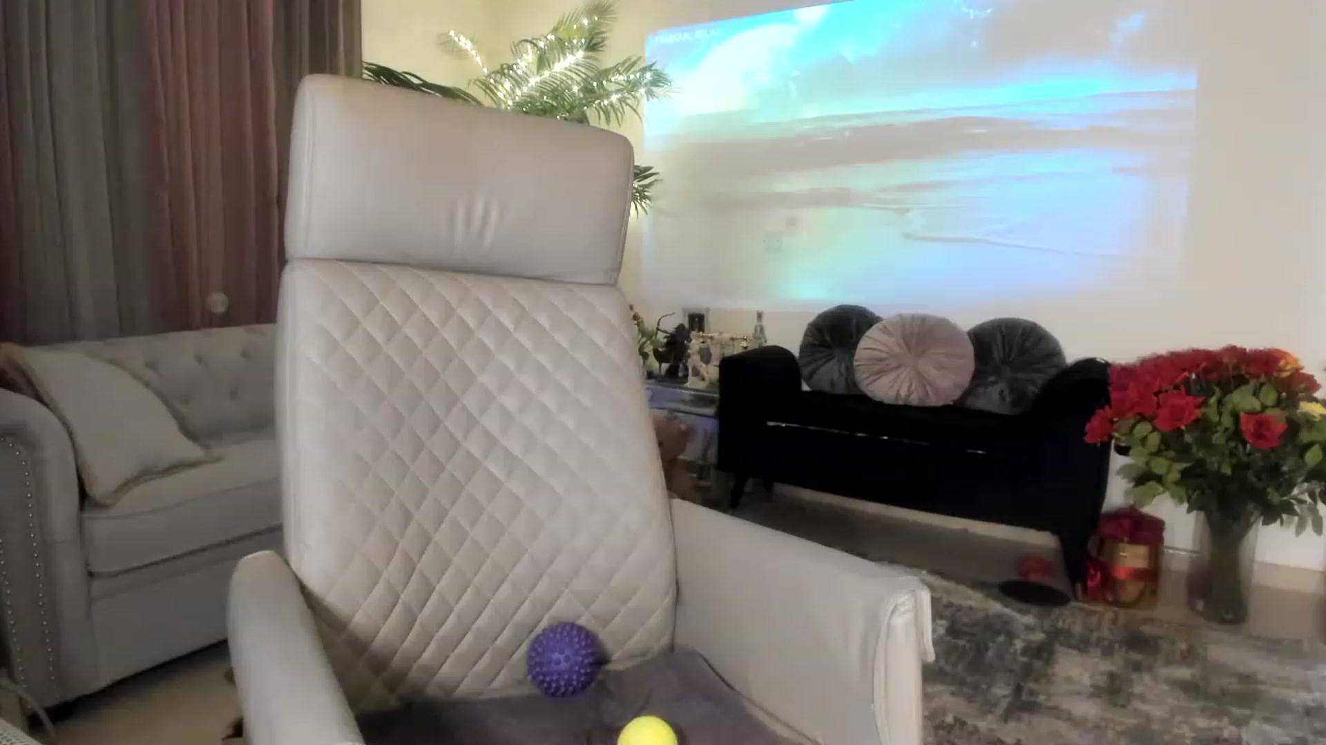 Gallery image thumbnail from Aarte_miss's myfreecams stream on, 04/30/2023, 02:13 image 5 of 20