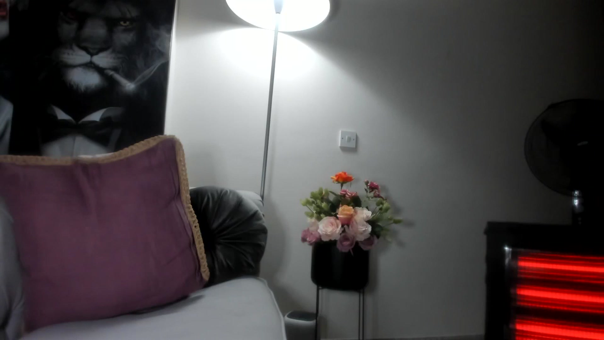 Gallery image thumbnail from Aarte_miss's myfreecams stream on, 02/23/2024, 23:57 image 1 of 20