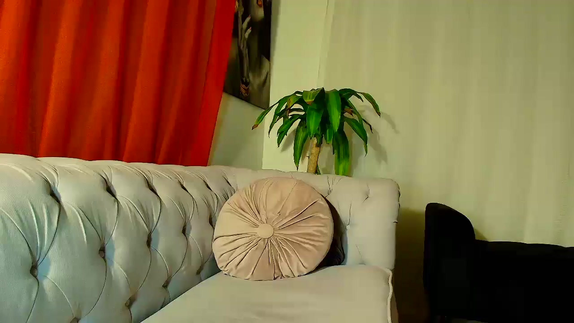 Gallery image thumbnail from Aarte_miss's myfreecams stream on, 11/14/2025, 03:37 image 12 of 20