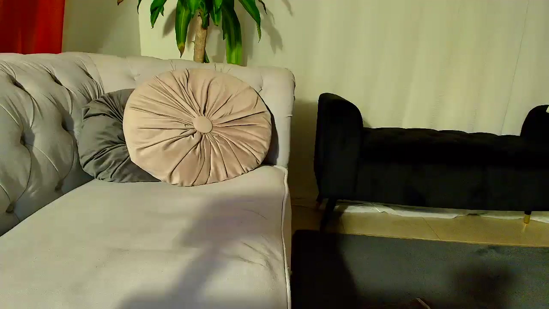 Gallery image thumbnail from Aarte_miss's myfreecams stream on, 11/29/2025, 06:15 image 8 of 20