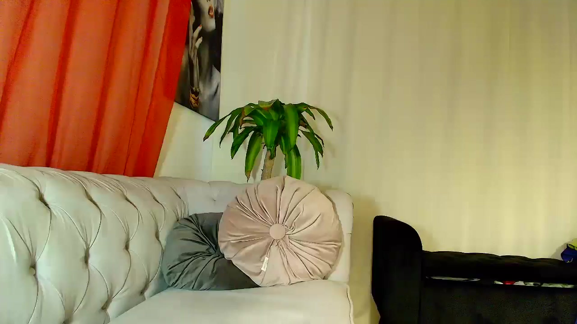 Gallery image thumbnail from Aarte_miss's myfreecams stream on, 12/14/2025, 06:11 image 12 of 20