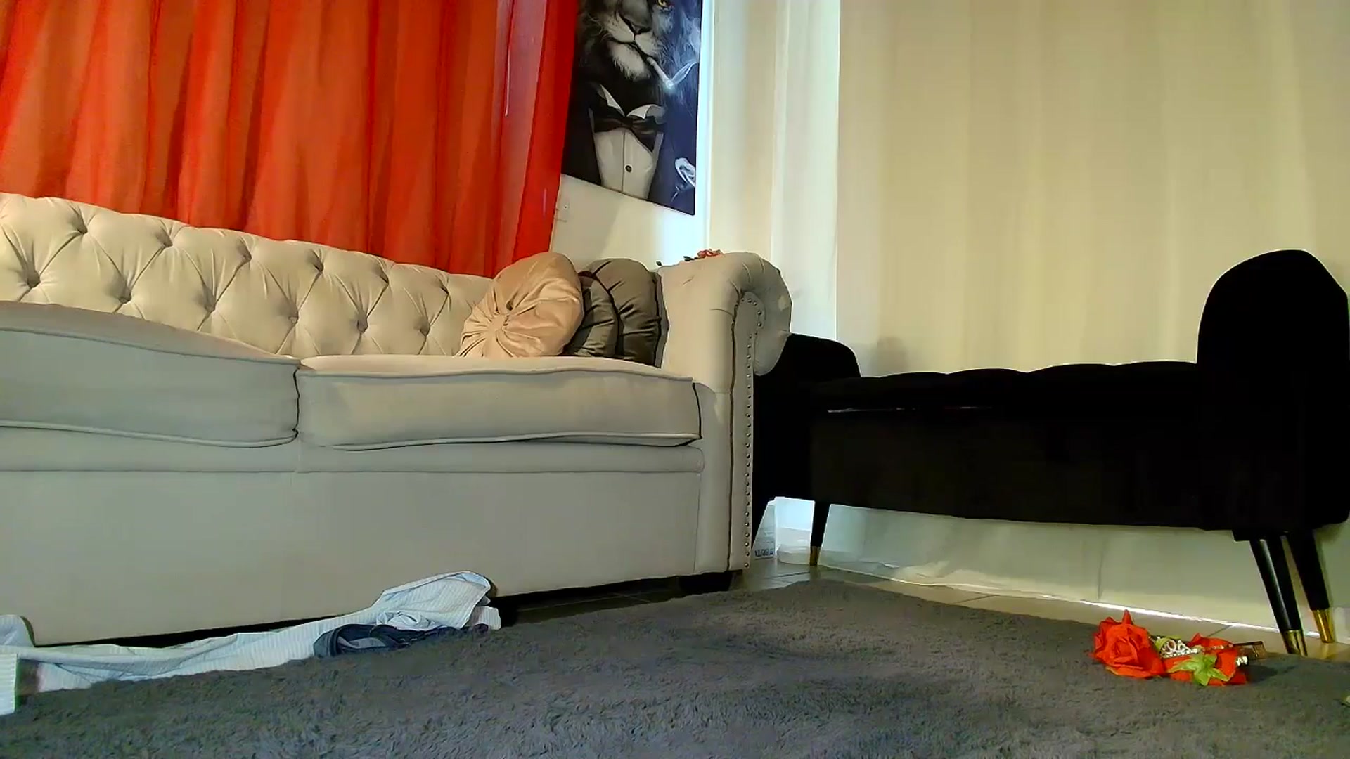 Gallery image thumbnail from Aarte_miss's myfreecams stream on, 02/28/2026, 07:10 image 12 of 20