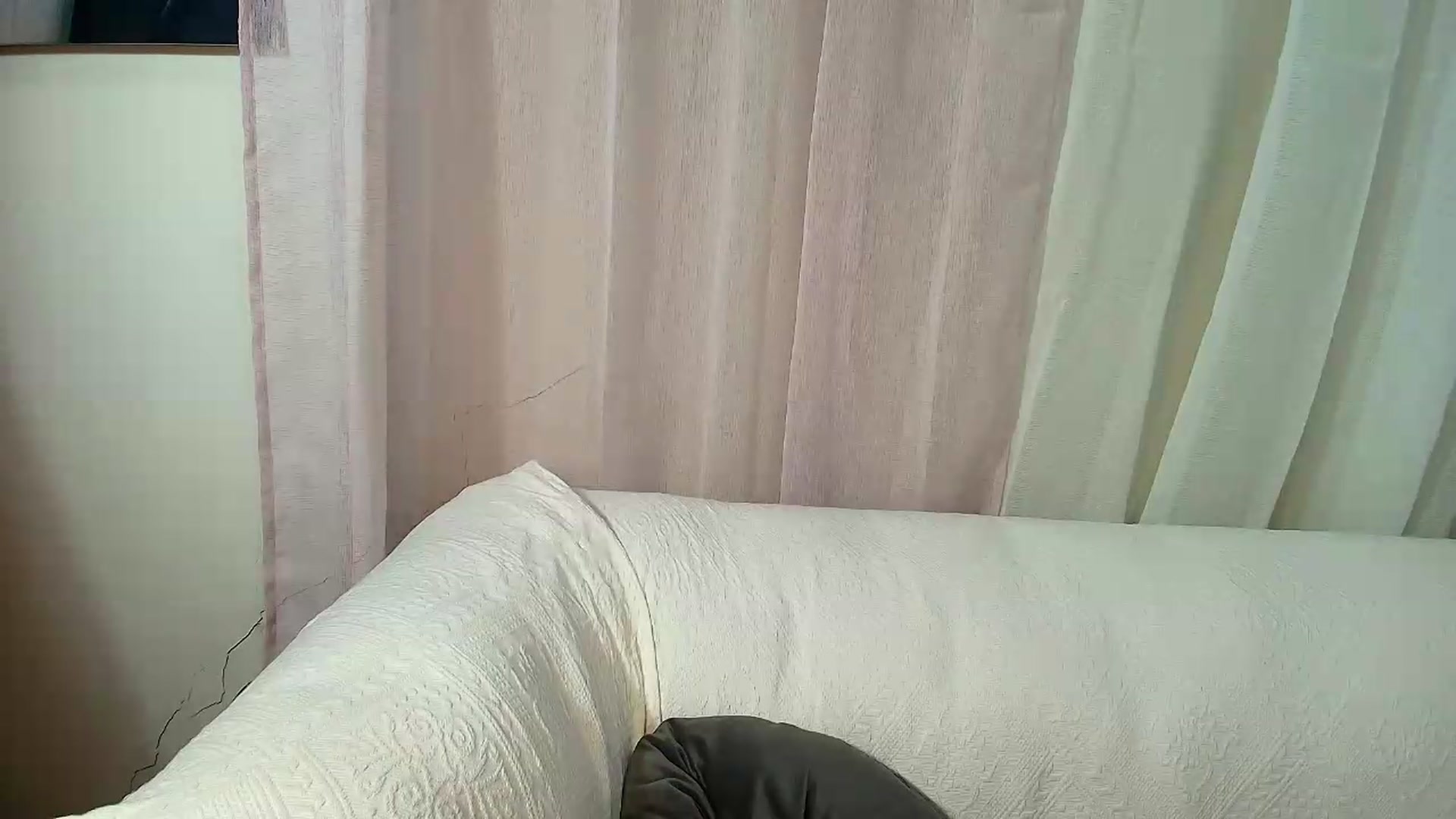 Gallery image thumbnail from Aarte_miss's myfreecams stream on, 08/12/2026, 15:55 image 16 of 20