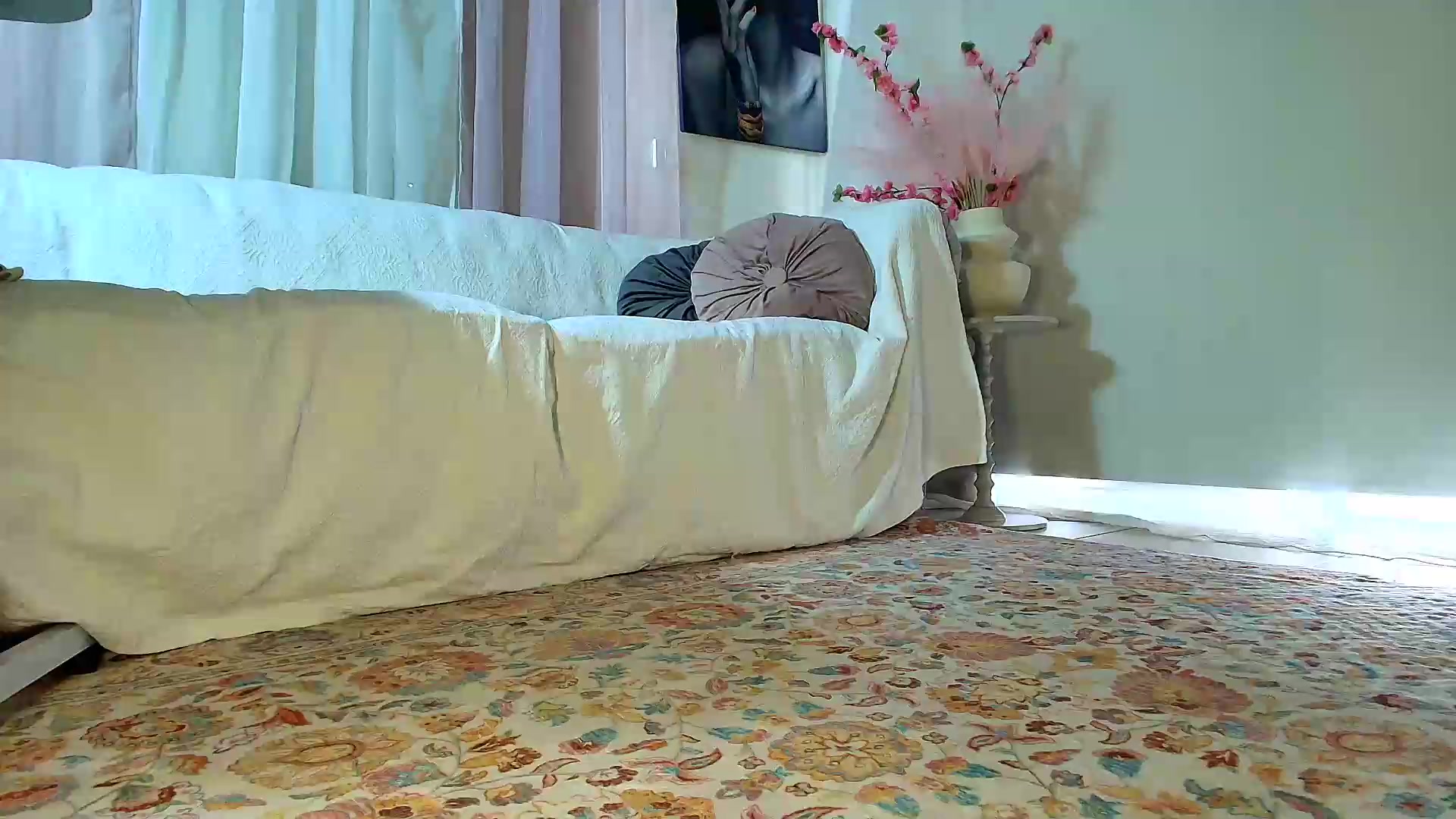 Gallery image thumbnail from Aarte_miss's myfreecams stream on, 09/12/2026, 06:24 image 16 of 20