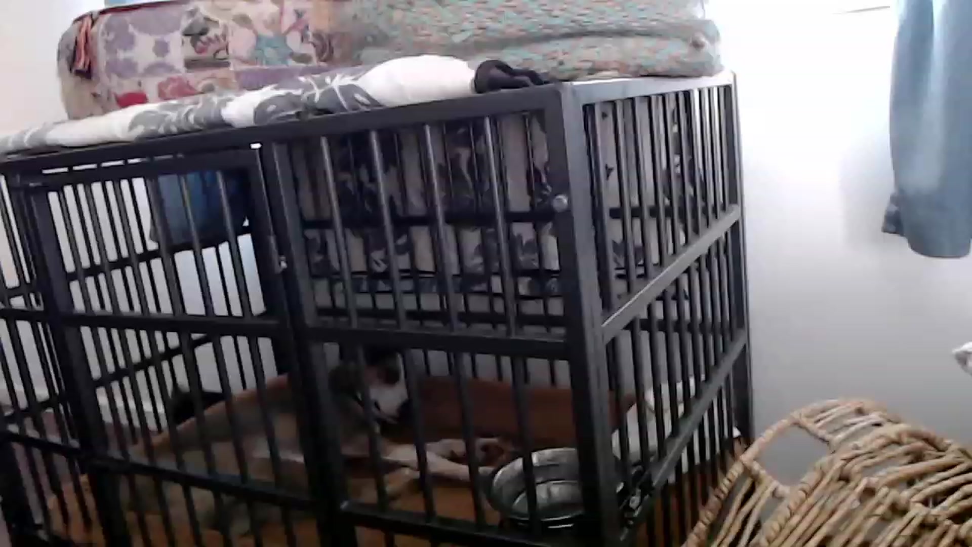 Gallery image thumbnail from Abbie_Hoffman's myfreecams stream on, 12/08/2022, 02:46 image 15 of 20