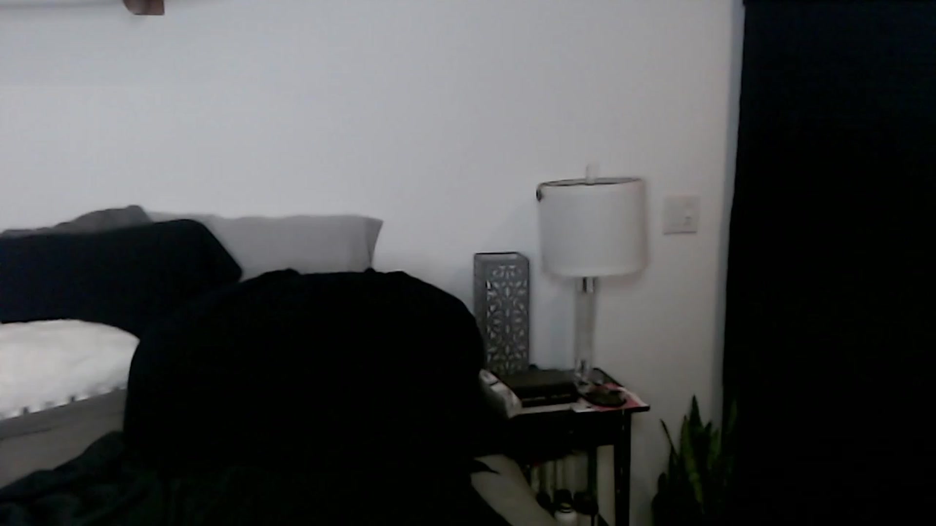 Gallery image thumbnail from Abbie_Hoffman's myfreecams stream on, 01/03/2023, 04:50 image 6 of 20
