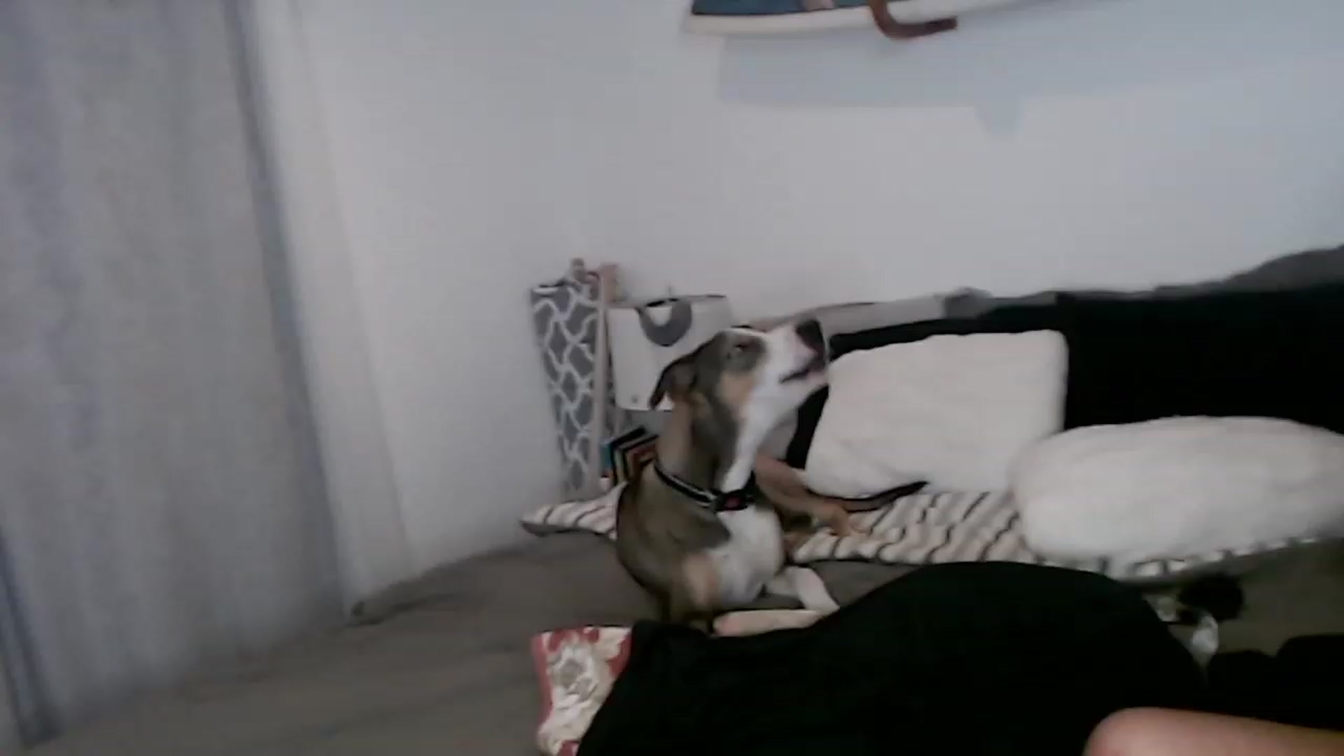 Gallery image thumbnail from Abbie_Hoffman's myfreecams stream on, 01/03/2023, 04:50 image 9 of 20