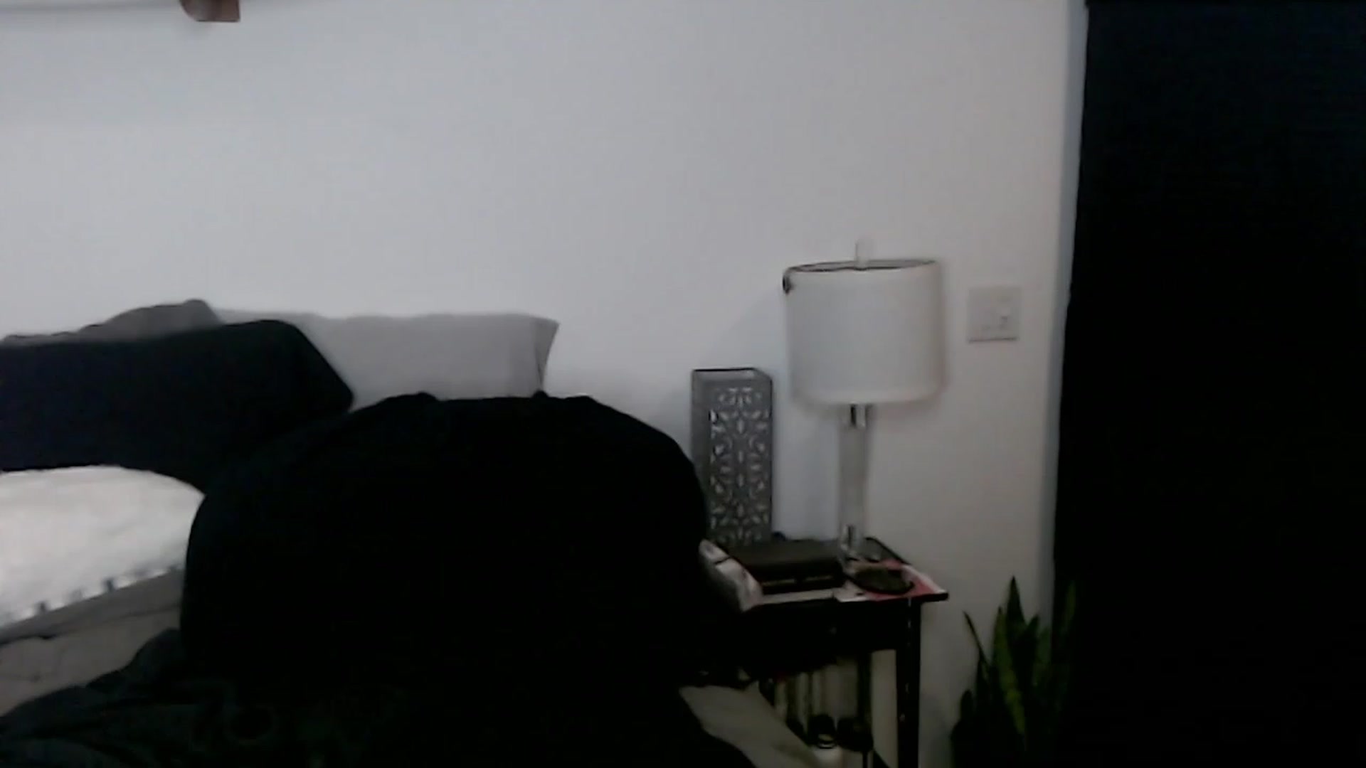 Gallery image thumbnail from Abbie_Hoffman's myfreecams stream on, 01/03/2023, 04:50 image 8 of 20