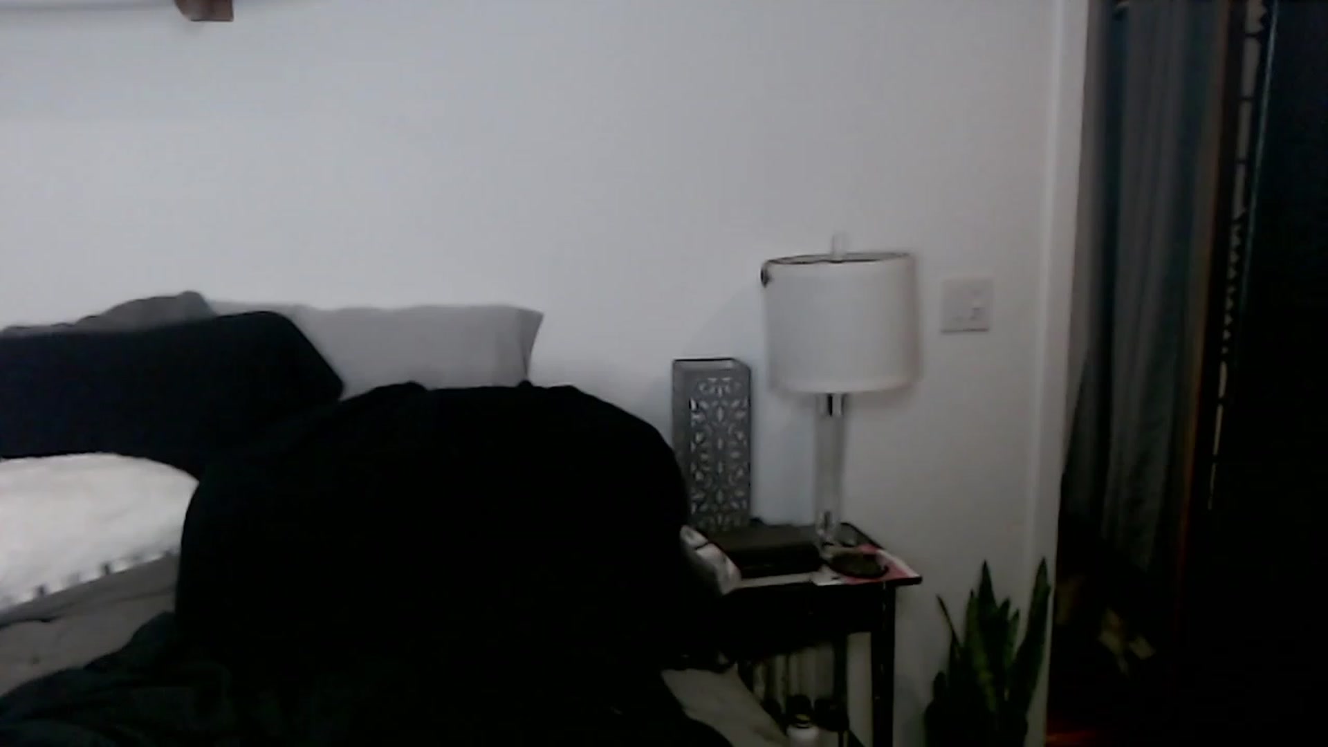 Gallery image thumbnail from Abbie_Hoffman's myfreecams stream on, 01/03/2023, 04:50 image 7 of 20