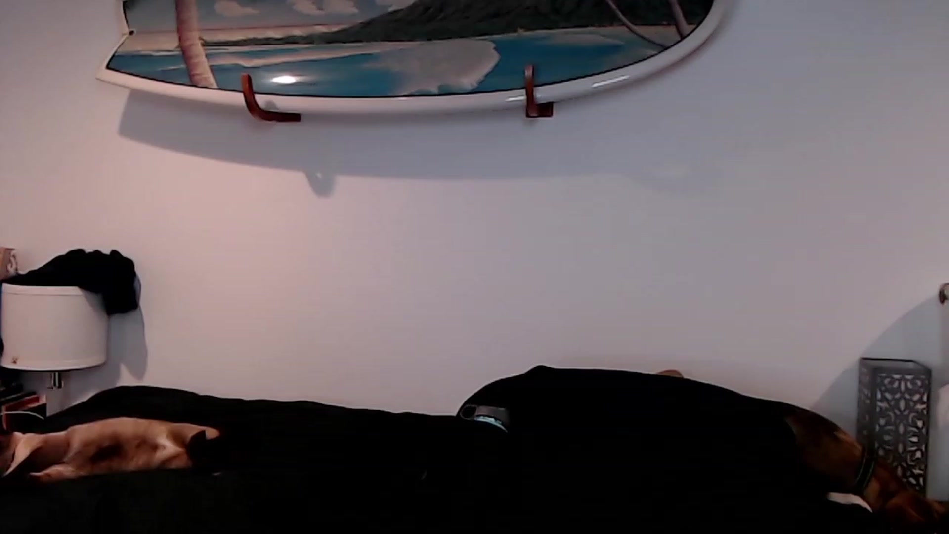 Gallery image thumbnail from Abbie_Hoffman's myfreecams stream on, 01/05/2023, 05:24 image 11 of 20