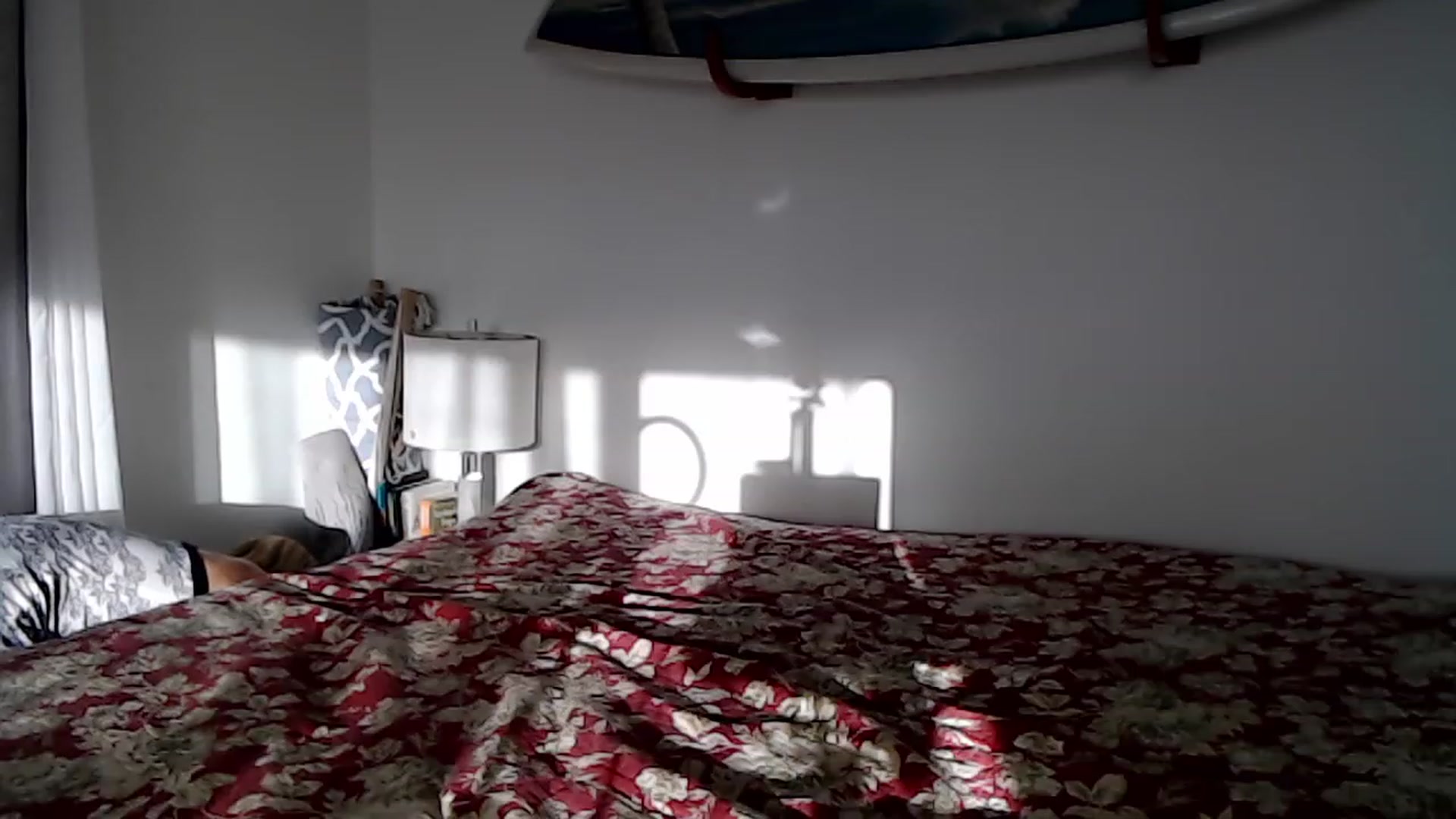 Gallery image thumbnail from Abbie_Hoffman's myfreecams stream on, 02/05/2023, 03:35 image 19 of 20