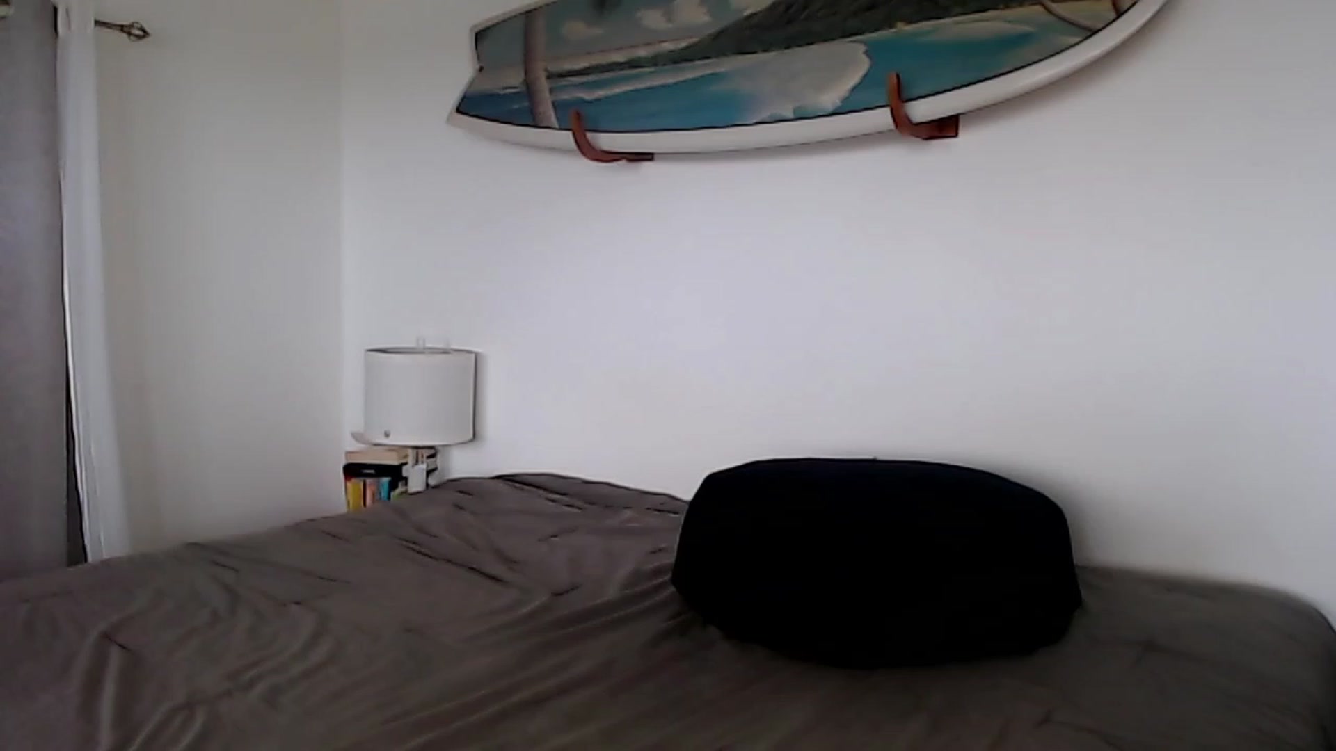 Gallery image thumbnail from Abbie_Hoffman's myfreecams stream on, 05/02/2023, 01:56 image 12 of 20