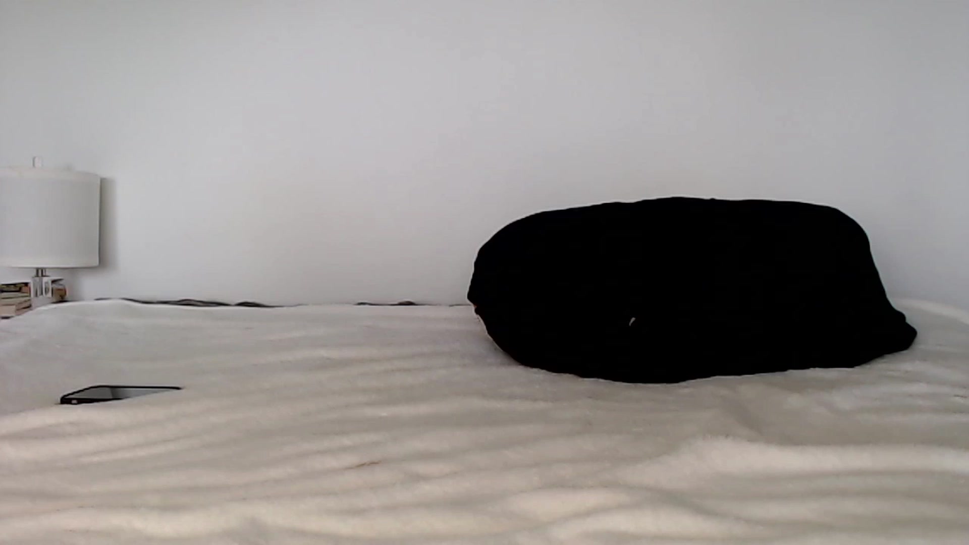Gallery image thumbnail from Abbie_Hoffman's myfreecams stream on, 08/30/2023, 02:28 image 20 of 20