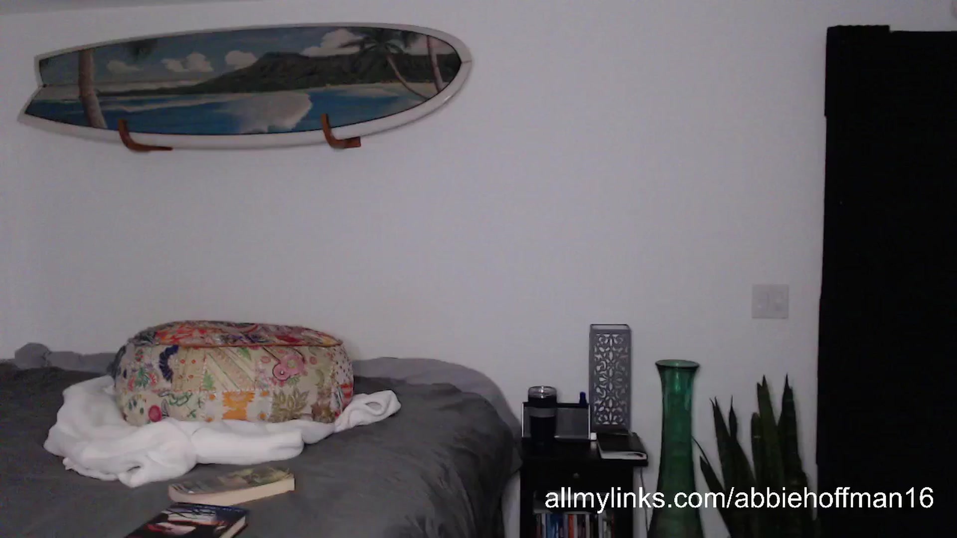Gallery image thumbnail from Abbie_Hoffman's myfreecams stream on, 06/07/2024, 05:17 image 2 of 20