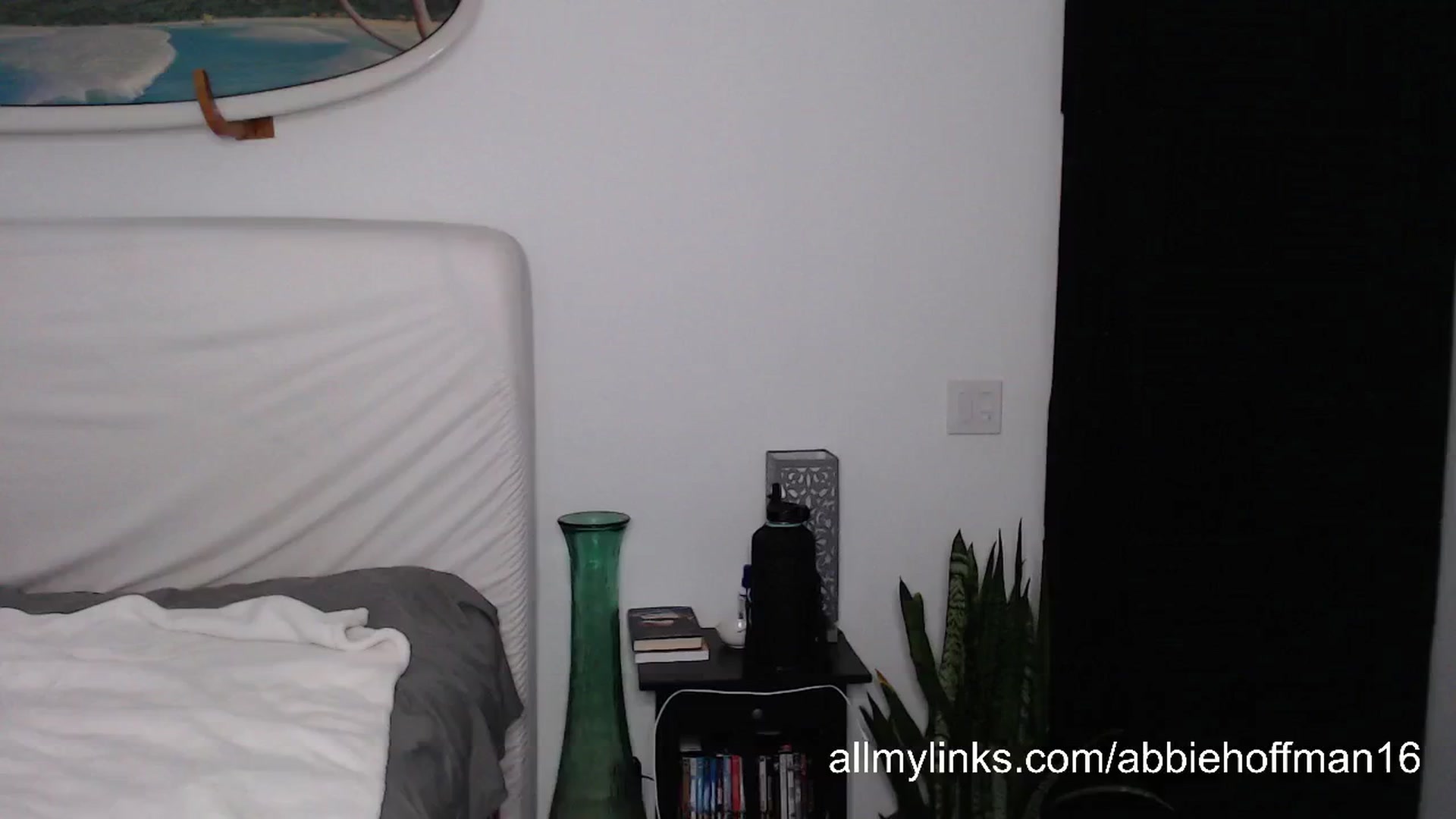 Gallery image thumbnail from Abbie_Hoffman's myfreecams stream on, 08/15/2024, 03:23 image 9 of 20