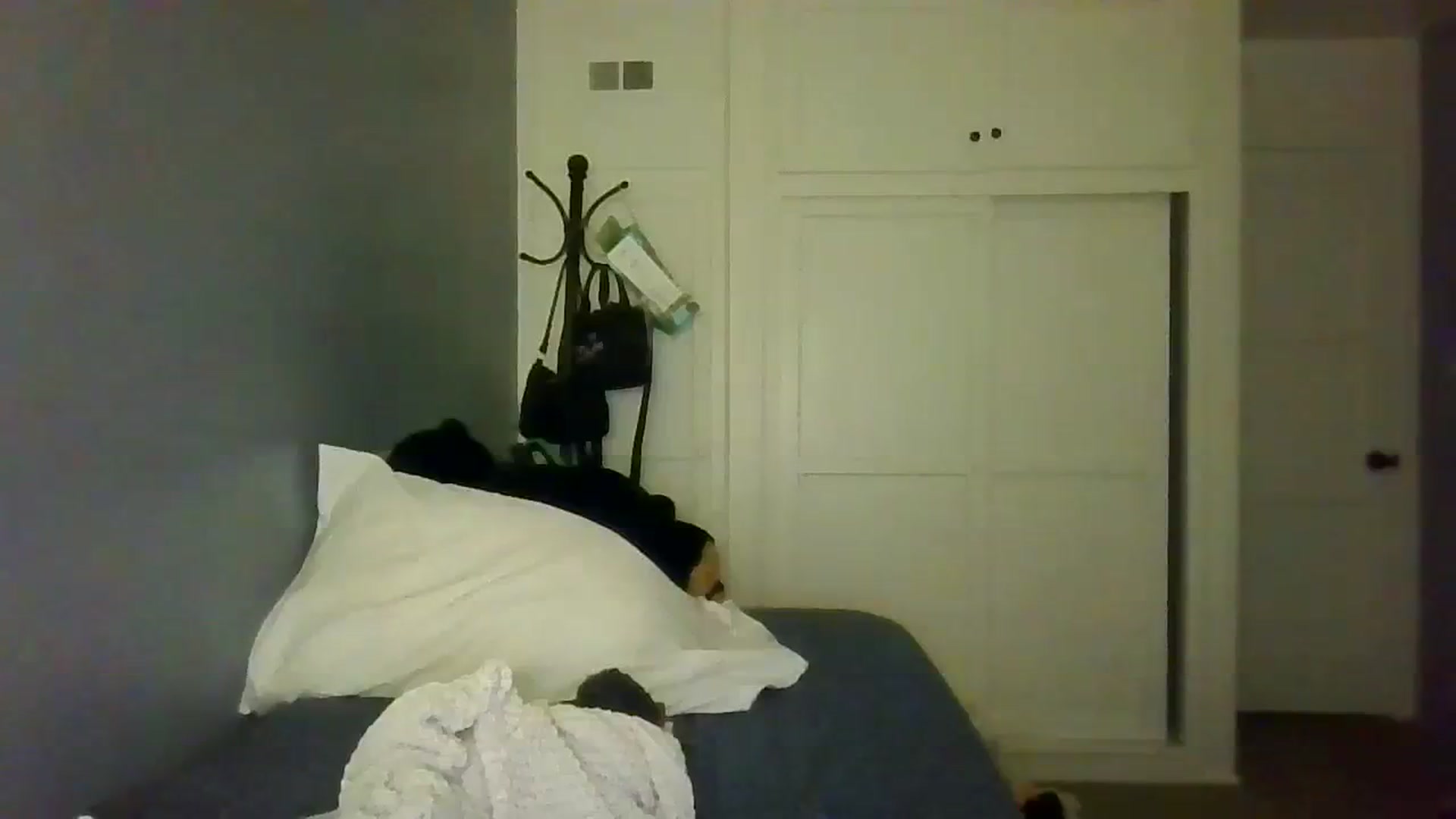 Gallery image thumbnail from Abc123456789's myfreecams stream on, 10/19/2023, 04:39 image 7 of 20