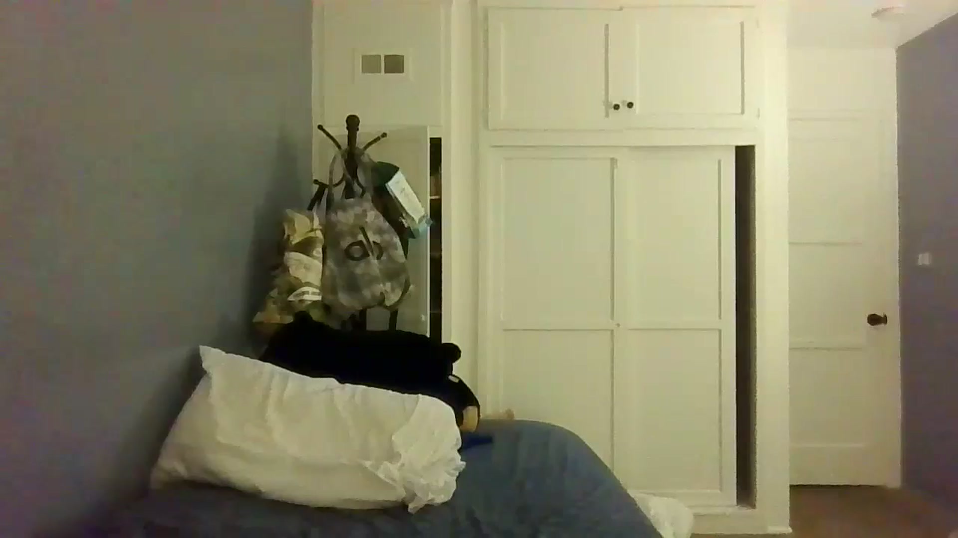 Gallery image thumbnail from Abc123456789's myfreecams stream on, 10/19/2023, 14:05 image 1 of 20