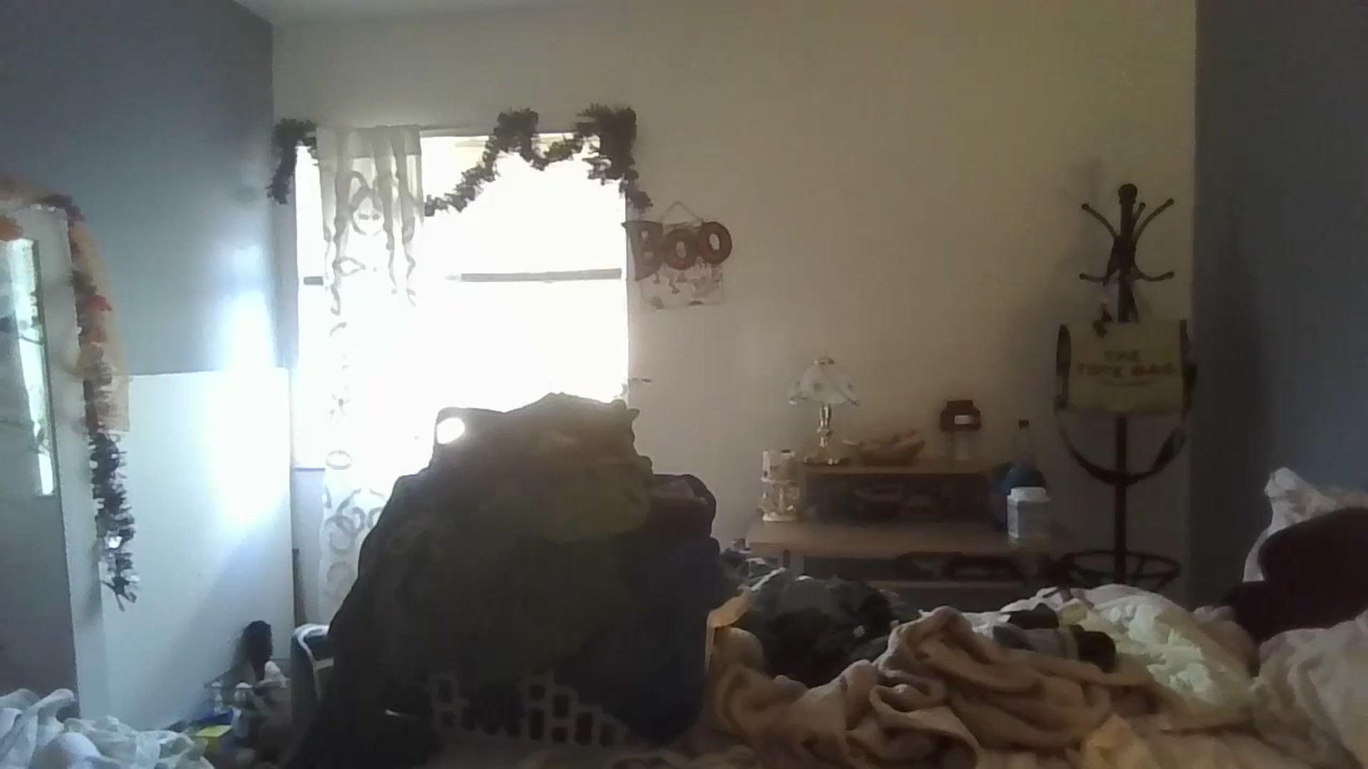 Gallery image thumbnail from Abc123456789's myfreecams stream on, 10/22/2023, 18:00 image 10 of 20