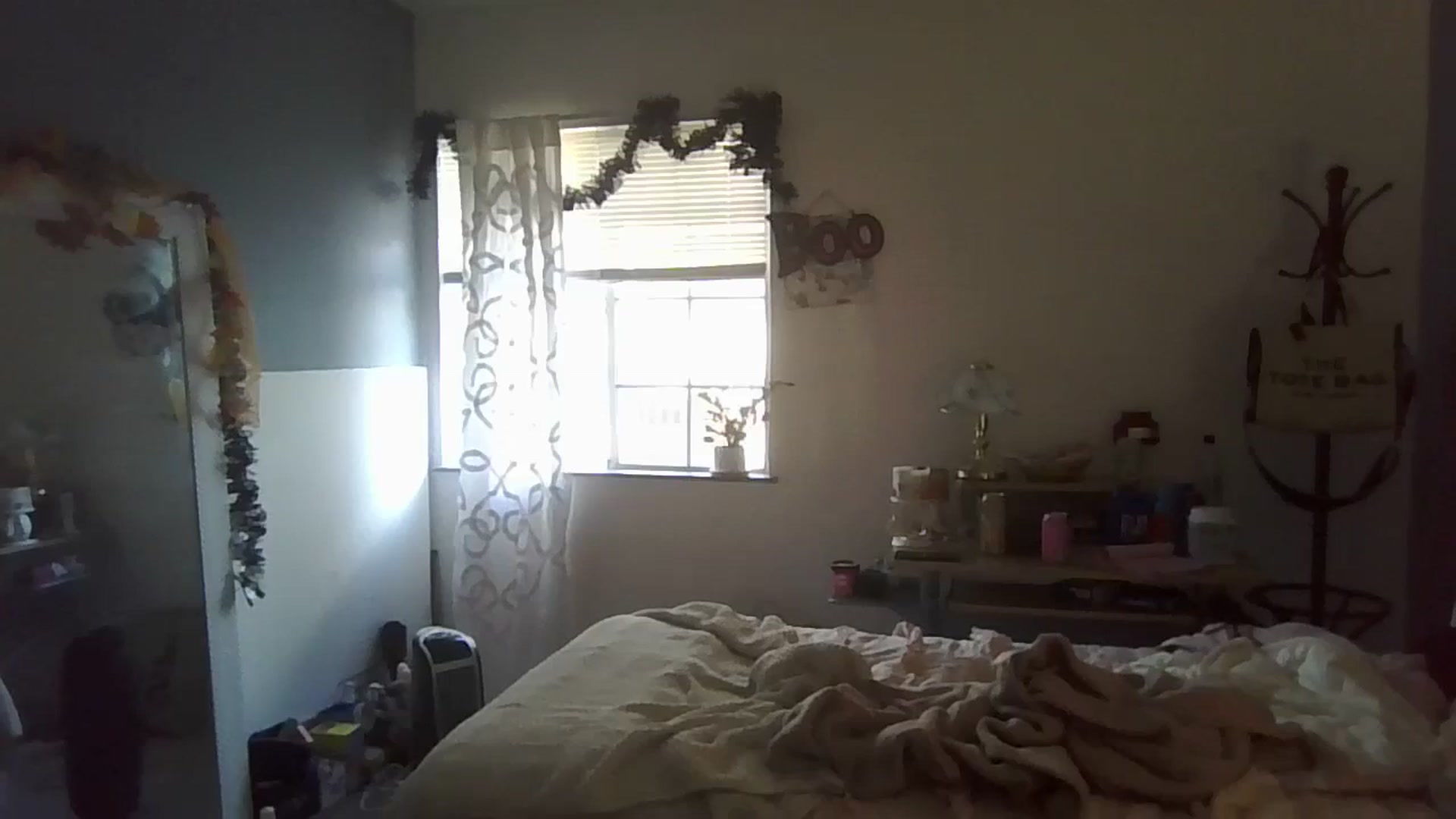 Gallery image thumbnail from Abc123456789's myfreecams stream on, 10/22/2023, 18:00 image 4 of 20